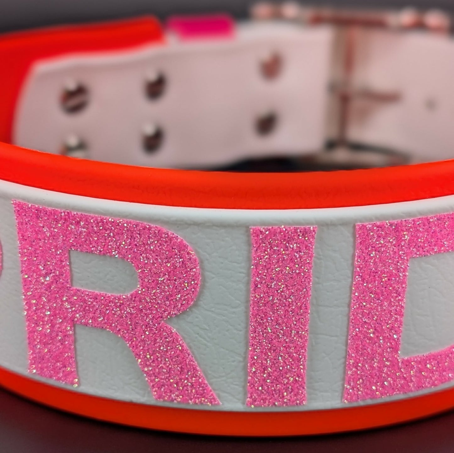 close up of glitter text on lesbian pride collar