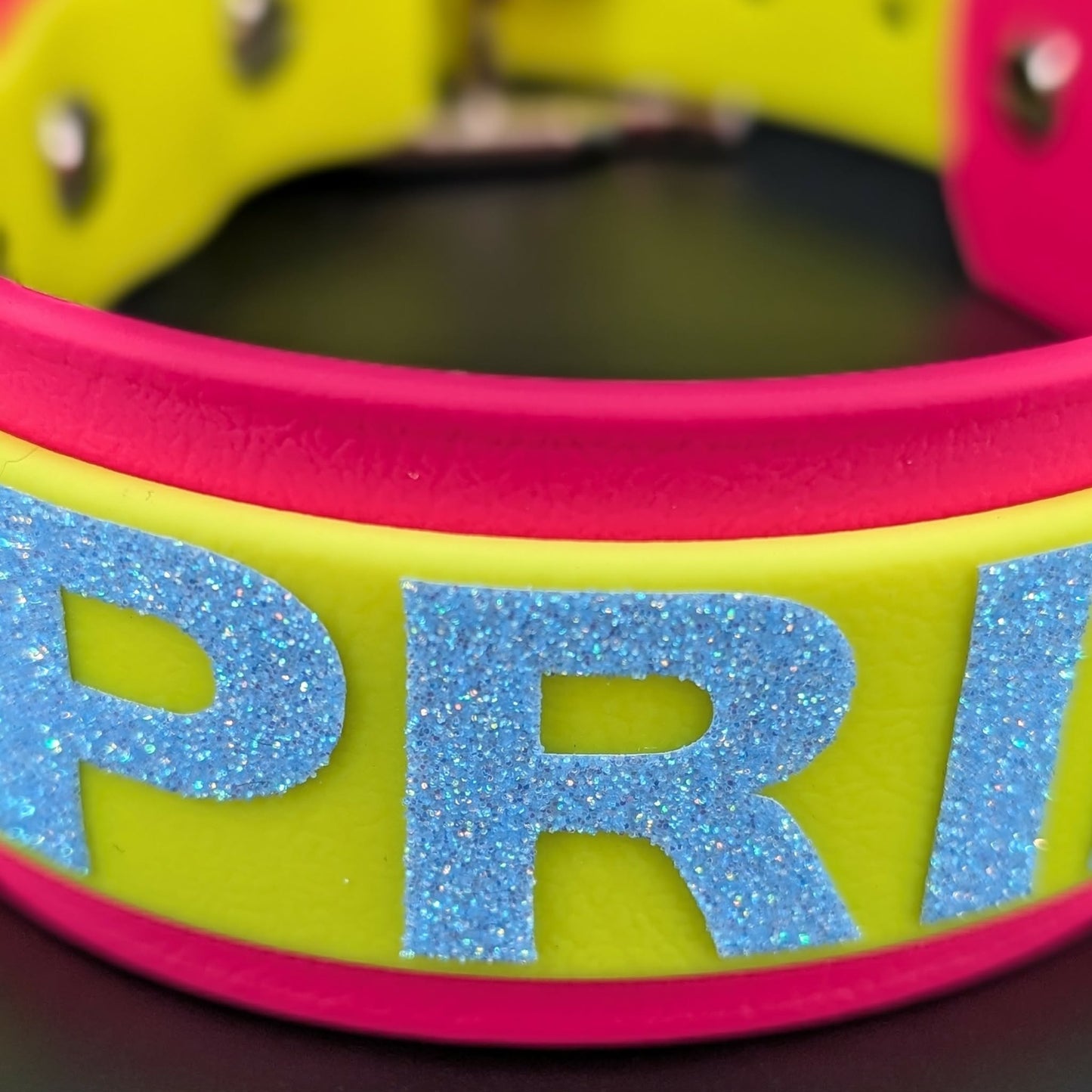 closeup of glitter text on pan pride dog collar
