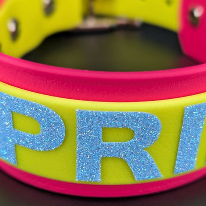 closeup of glitter text on pan pride dog collar