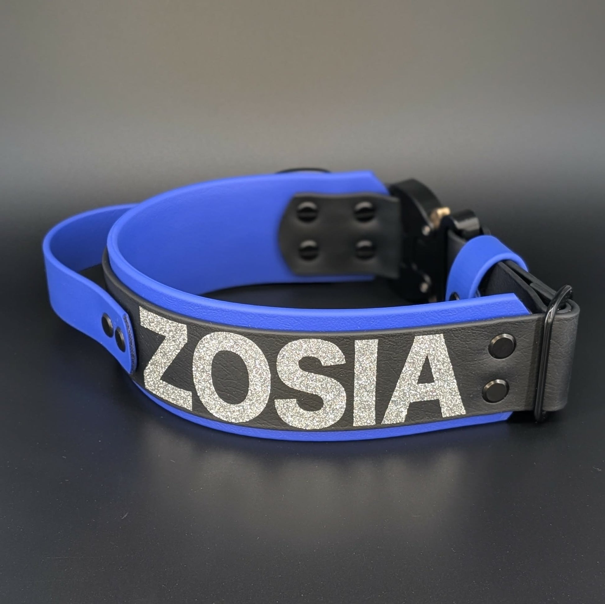 custom 2 inch wide layered biothane dog collar witth tactical handle and custom text