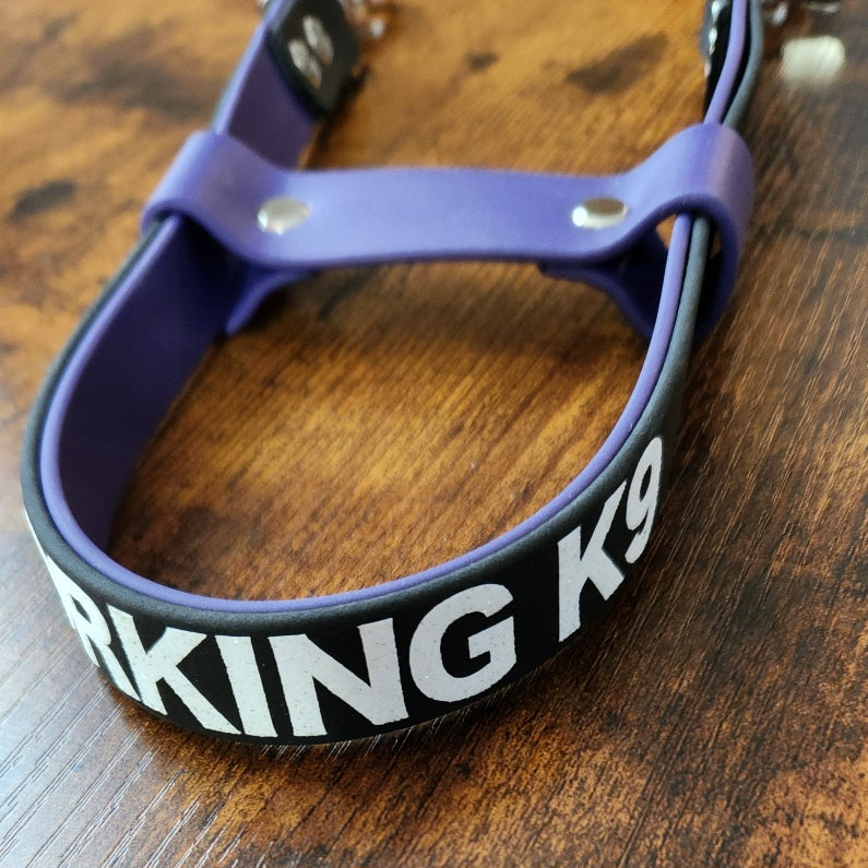 custom text on a layered biothane pull strap