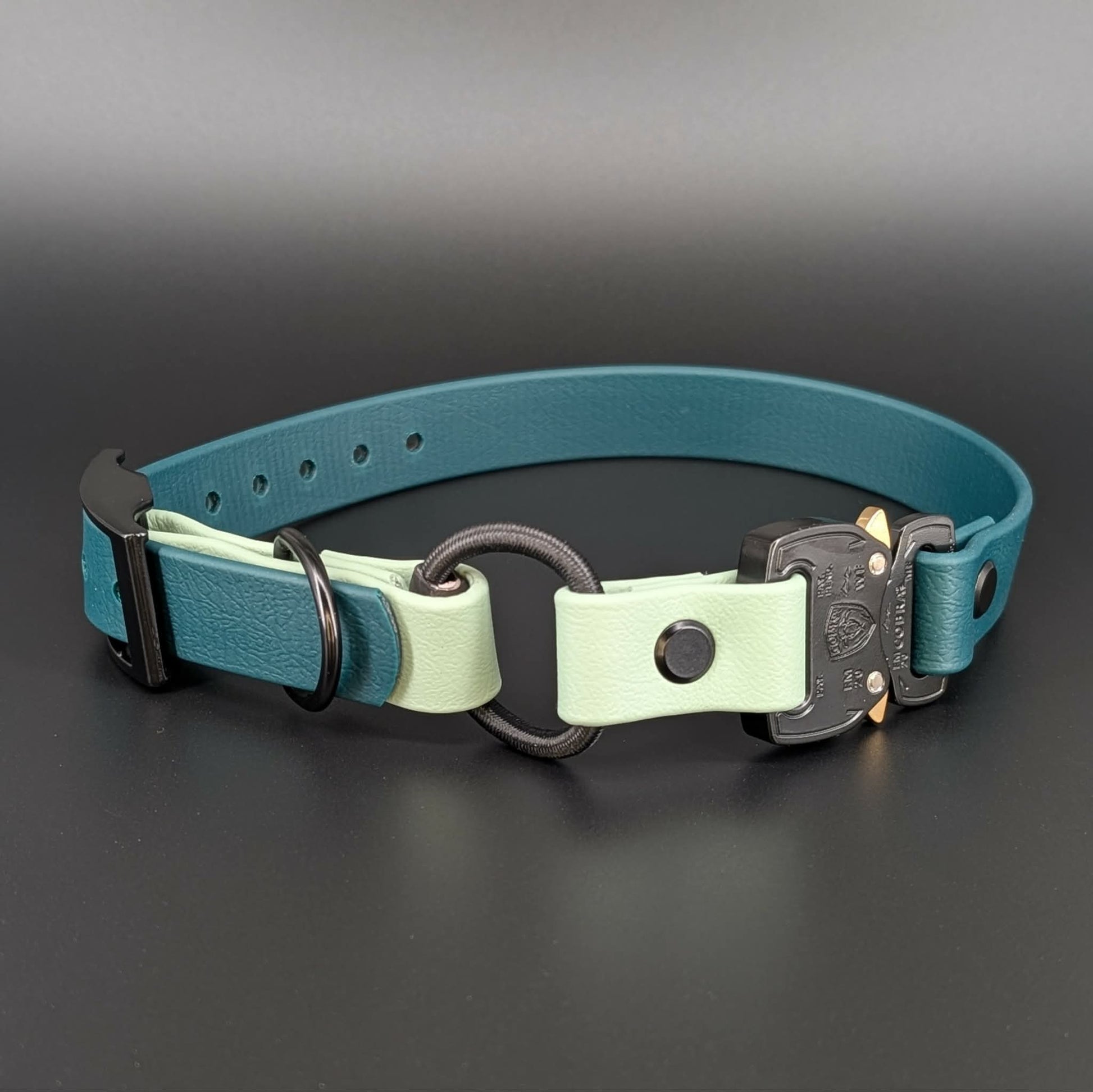 dark and light green biothane e-collar strap with bungee and quick release cobra buckle
