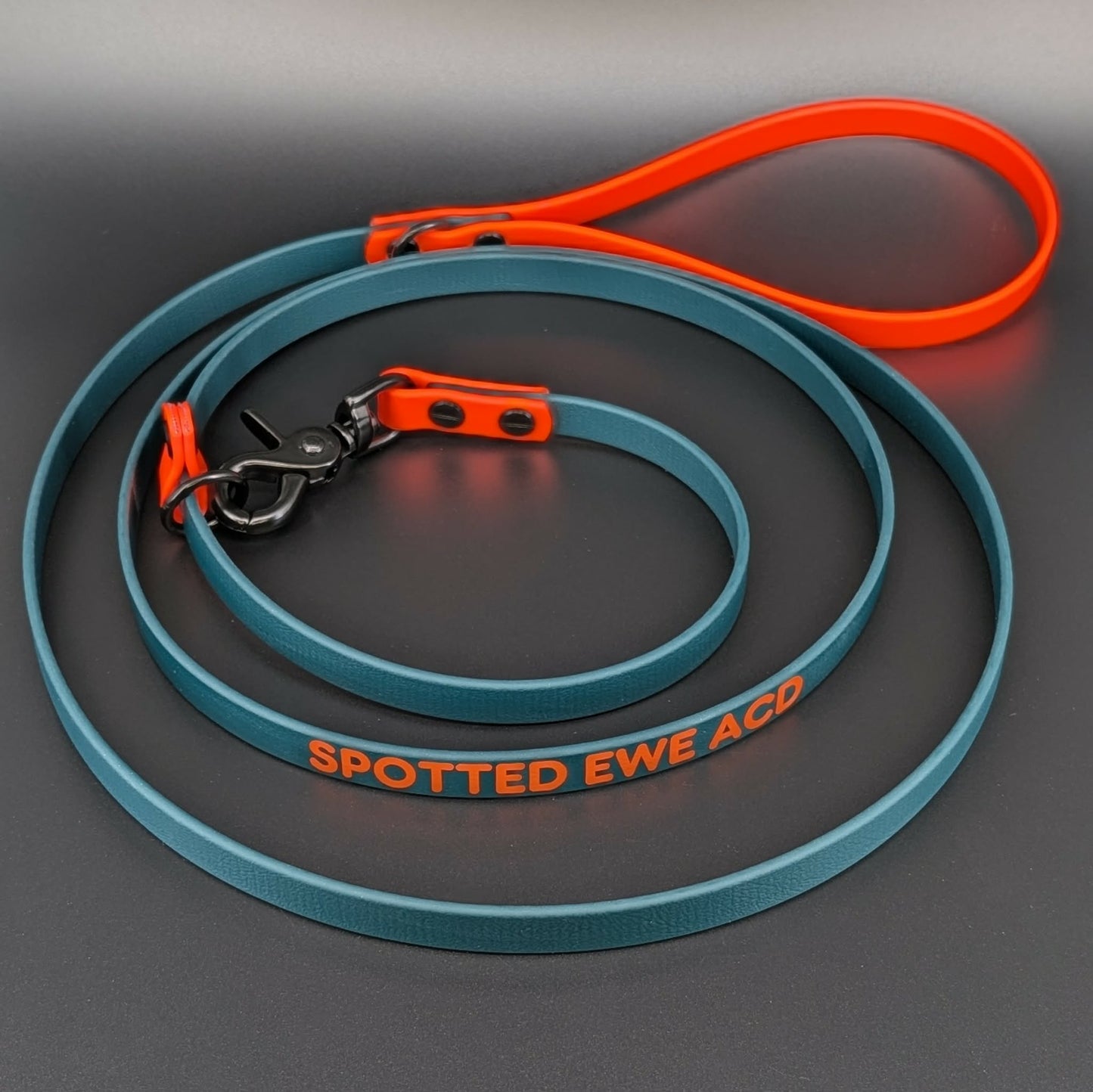 dark green and orange biothane slip leash with convertible quick release clip and custom text