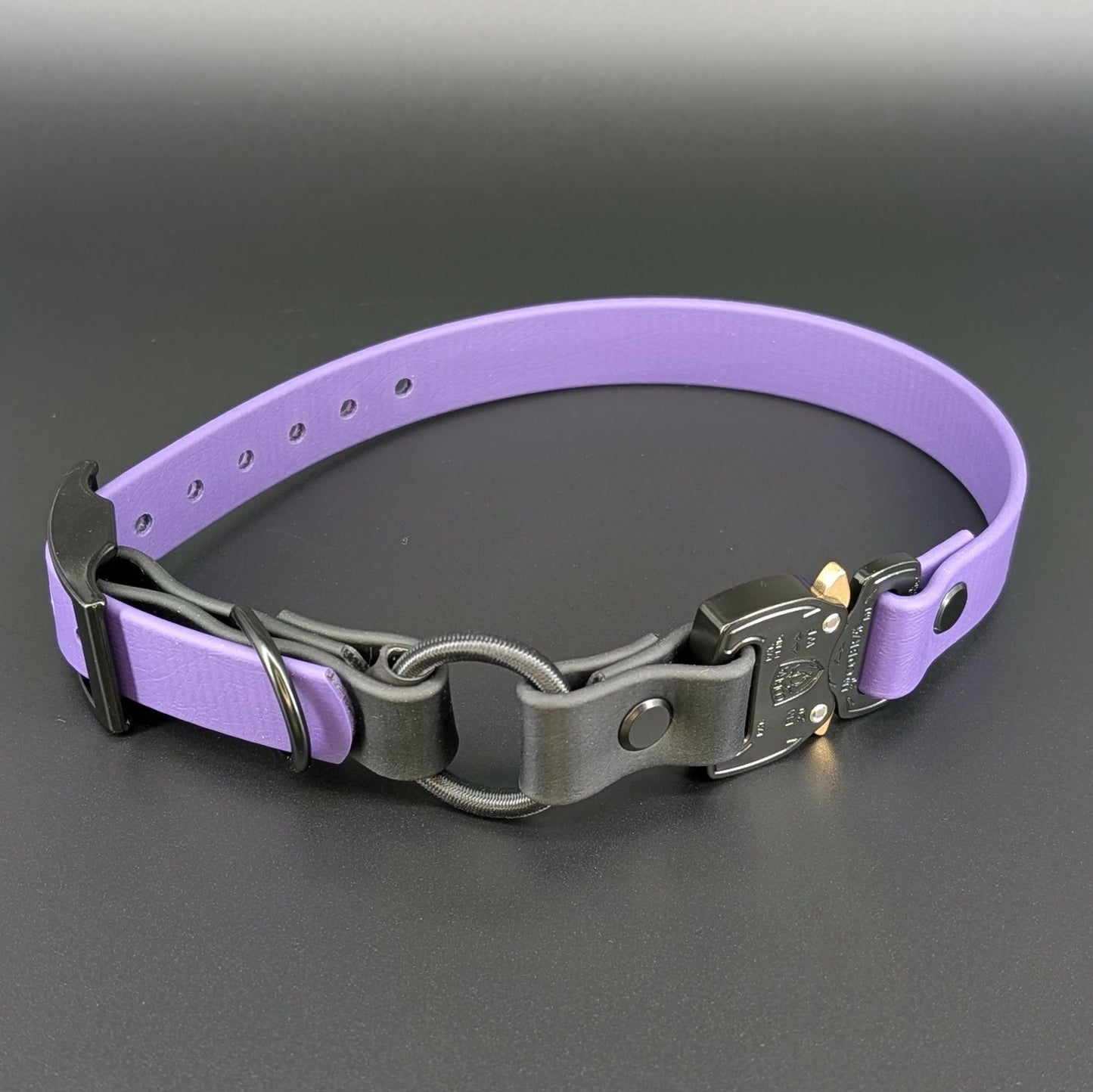 dark purple and black biothane e-collar strap with bungee and quick release cobra buckle