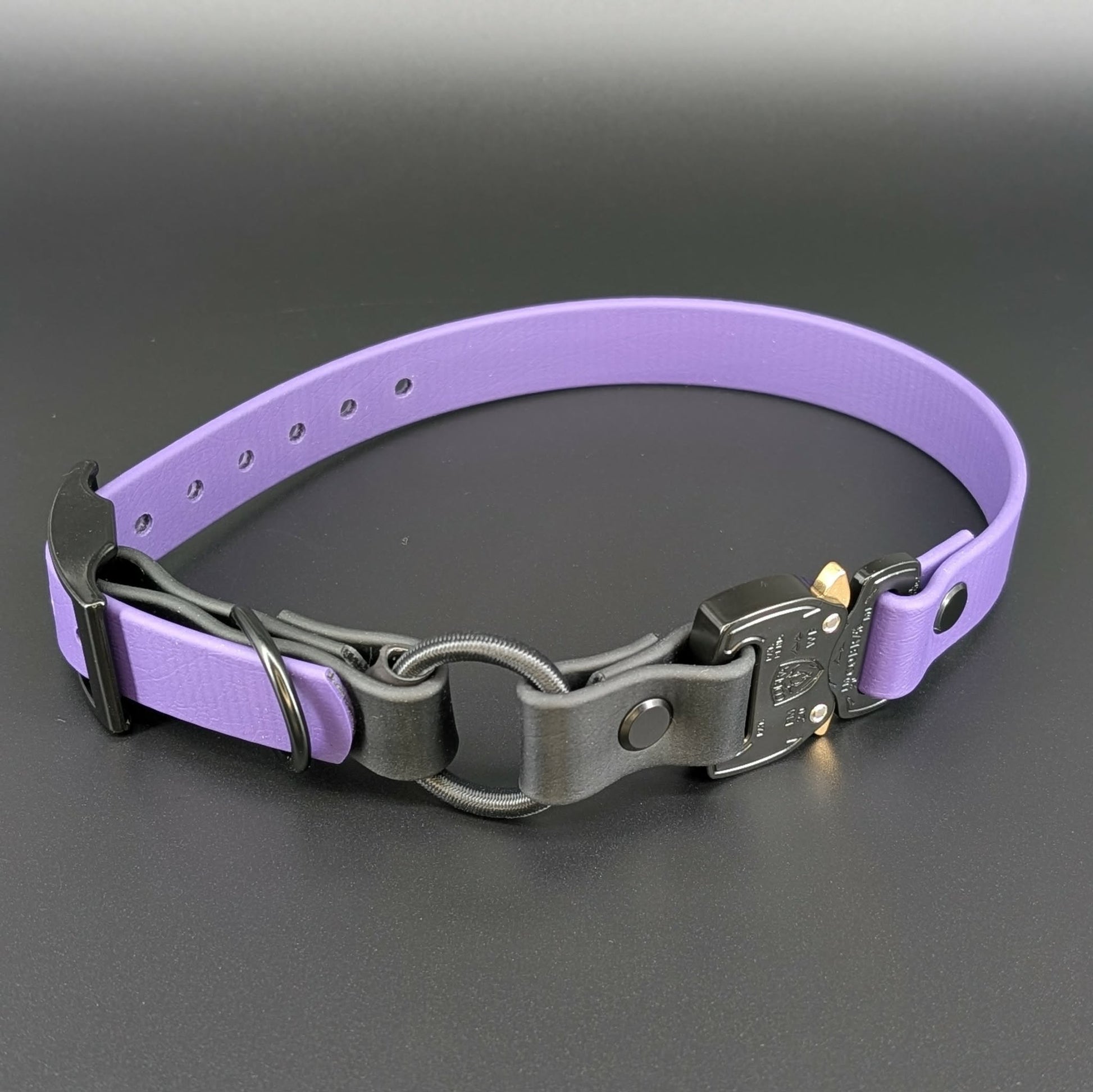 dark purple and black biothane e-collar strap with bungee and quick release cobra buckle