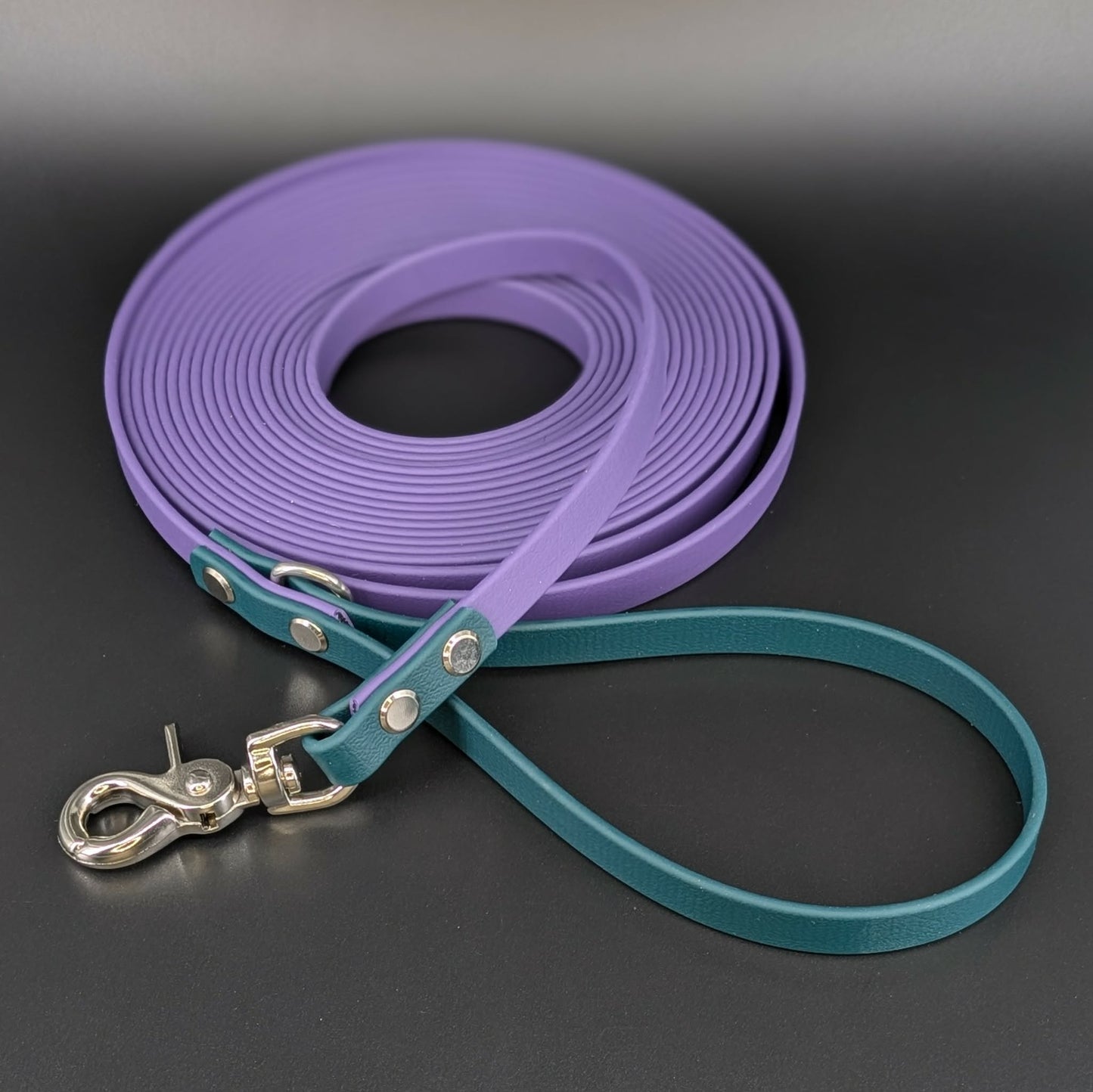 dark purple and dark green biothane long line with silver hardware