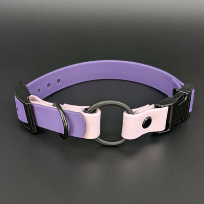 dark purple and lavender biothane e-collar strap with bungee and quick release buckle
