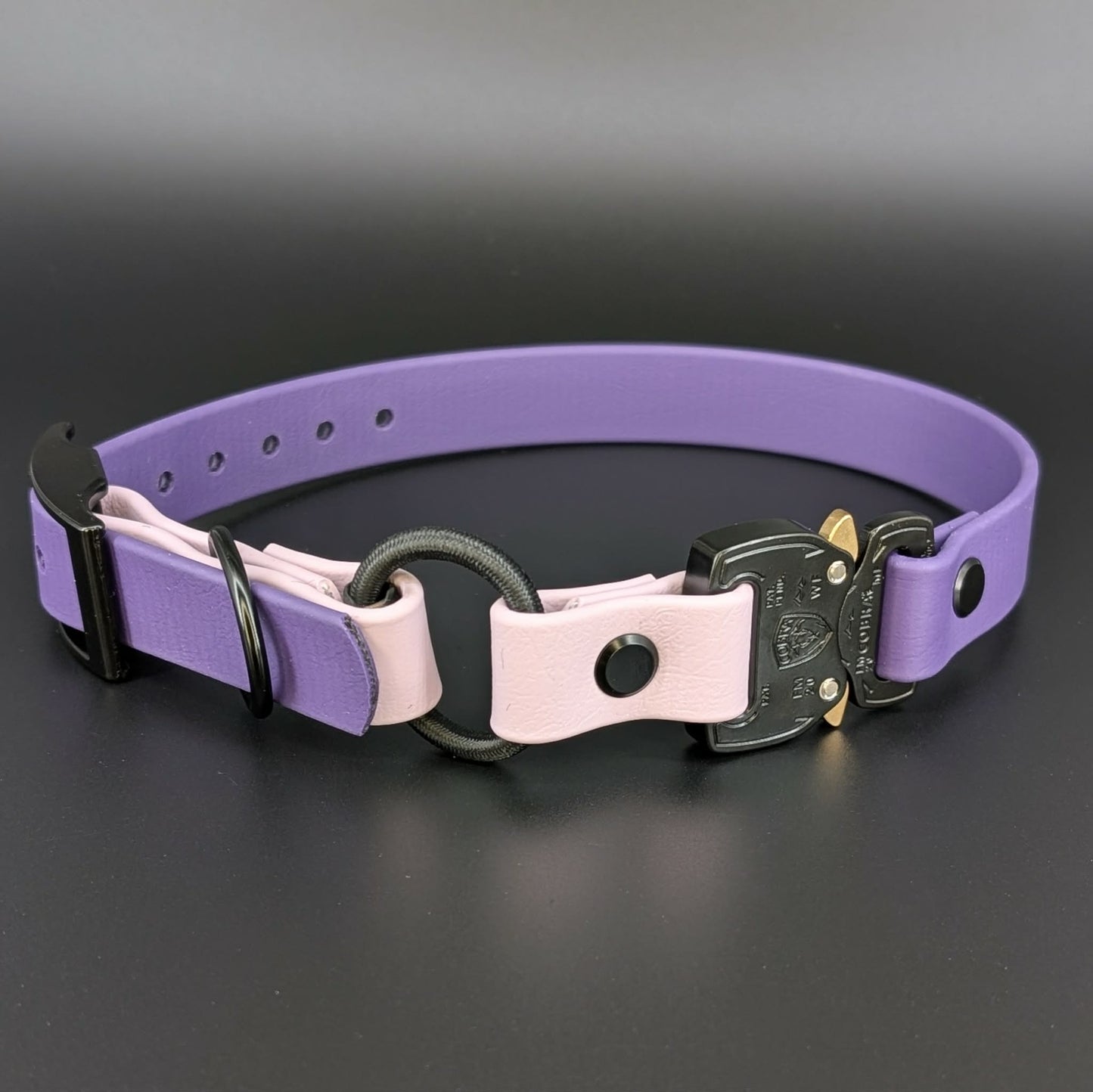 dark purple and lavender biothane e-collar strap with bungee and quick release cobra buckle