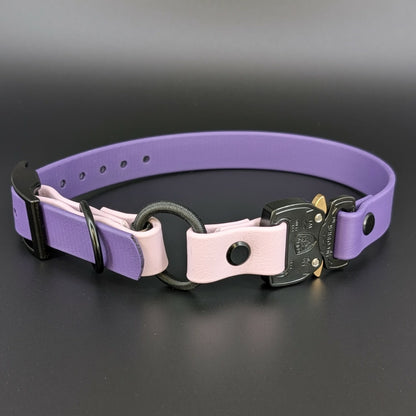 dark purple and lavender biothane e-collar strap with bungee and quick release cobra buckle