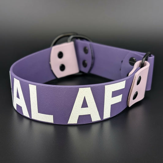 dark purple and lavender biothane limited slip collar feral af text