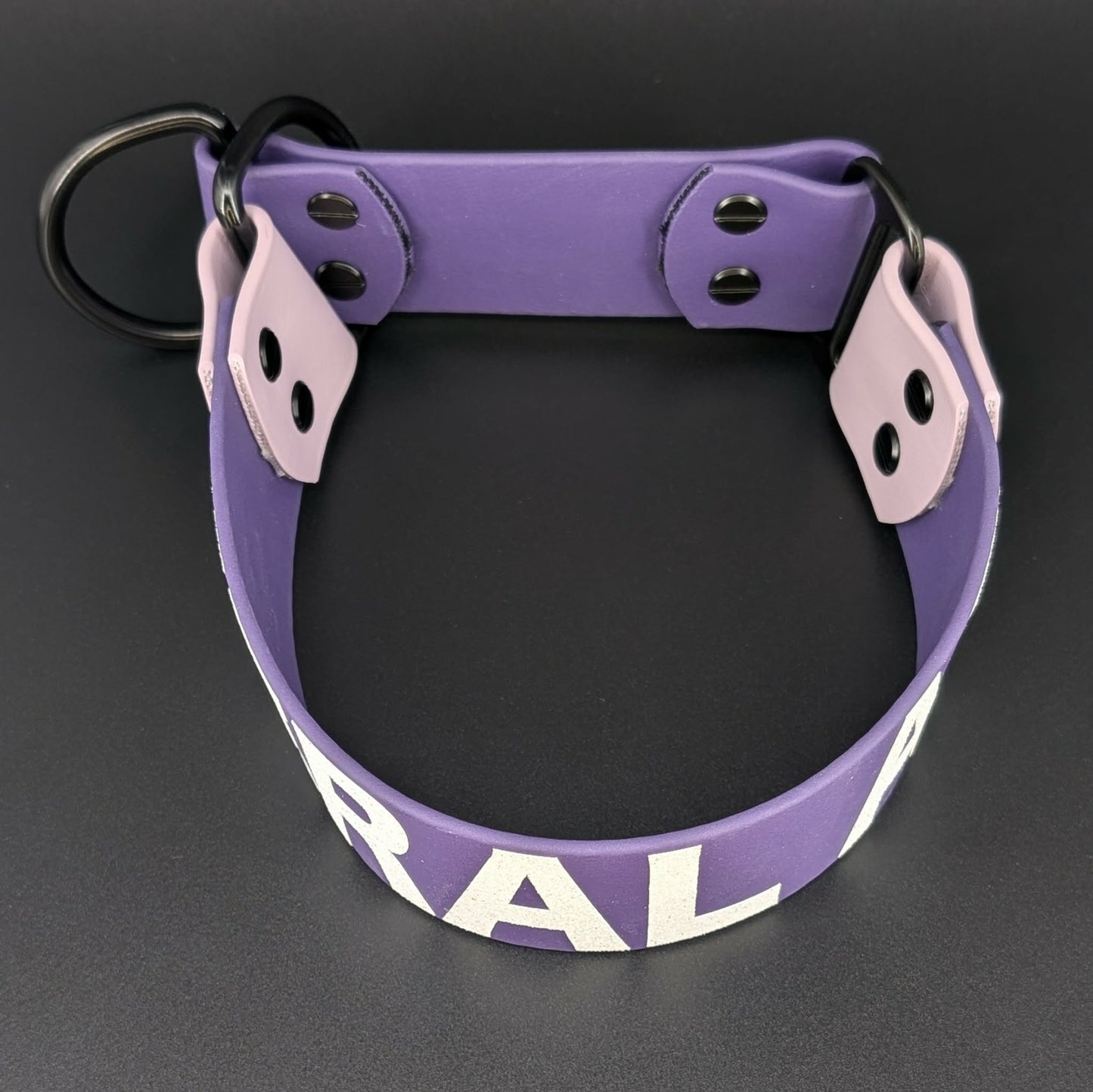 dark purple and lavender biothane limited slip dog collar with black hardware