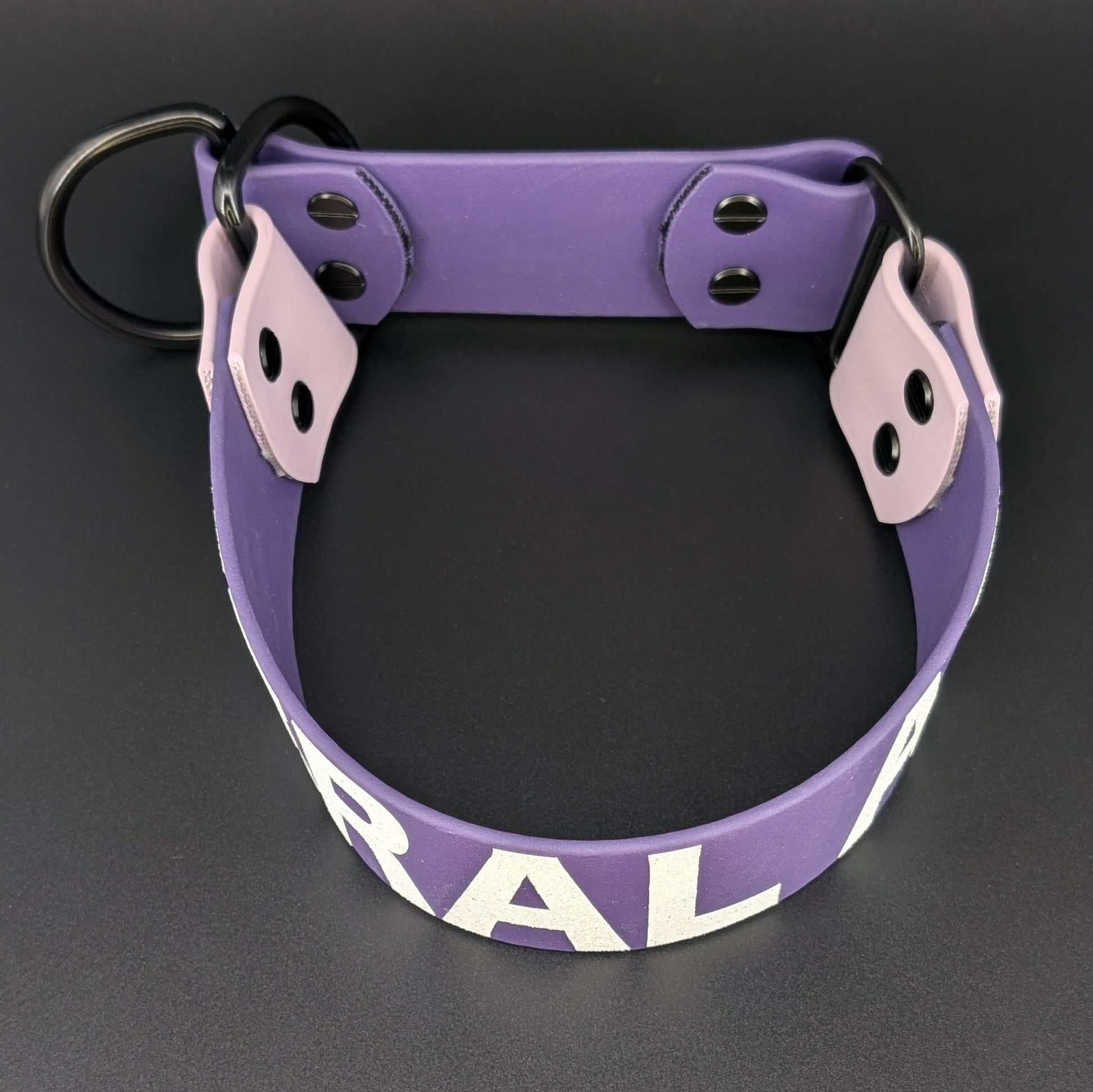 dark purple and lavender biothane limited slip dog collar with black hardware