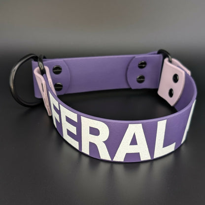 dark purple and lavender biothane limited slip dog collar with custom text
