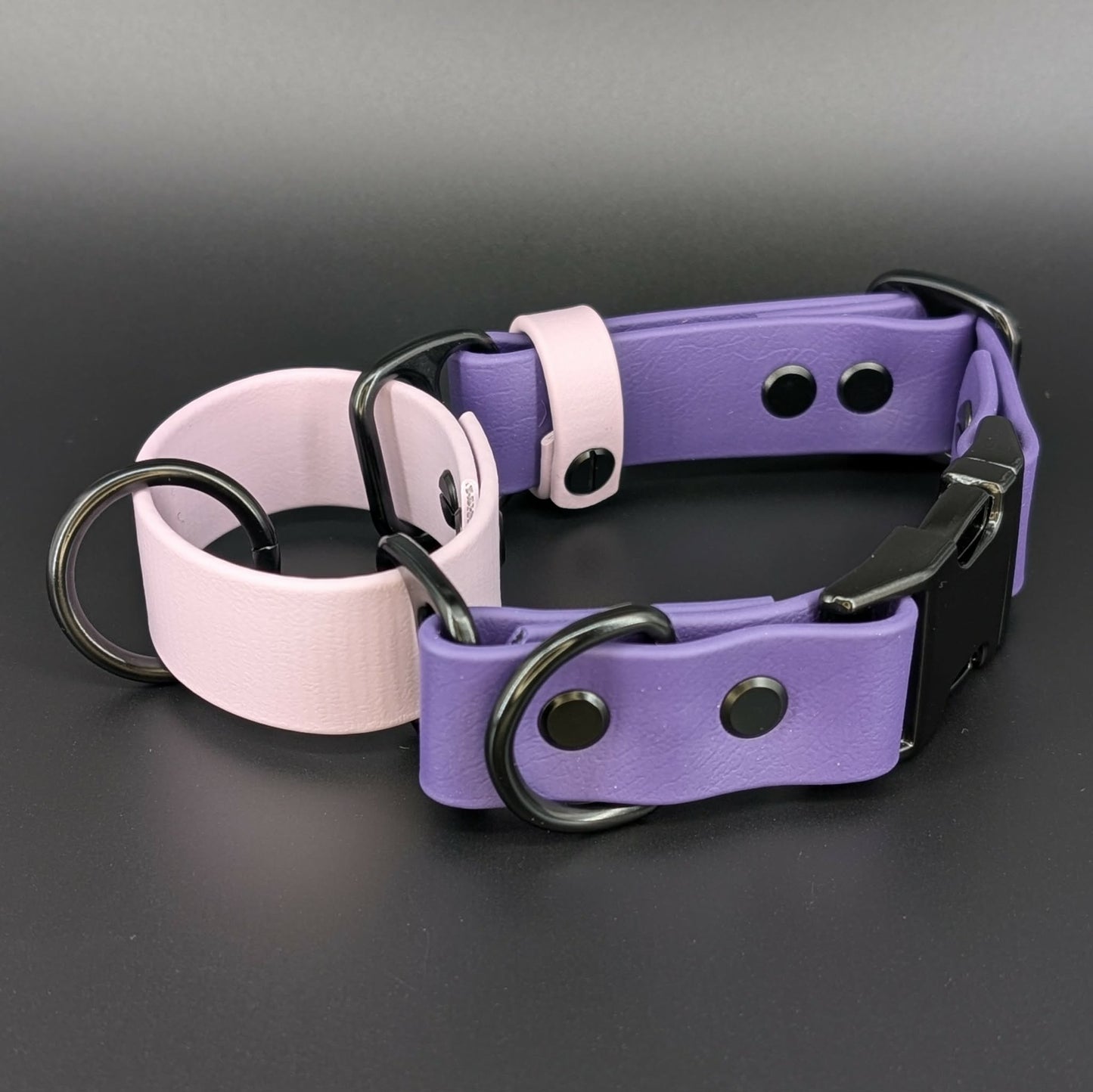 dark purple and lavender biothane martingale dog collar with black quick release buckle