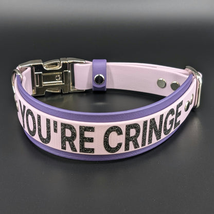 dark purple and lavender layered biothane dog collar with custom text and quick release buckle