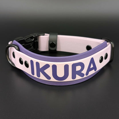 dark purple and lavender layered biothane dog collar with quick release buckle