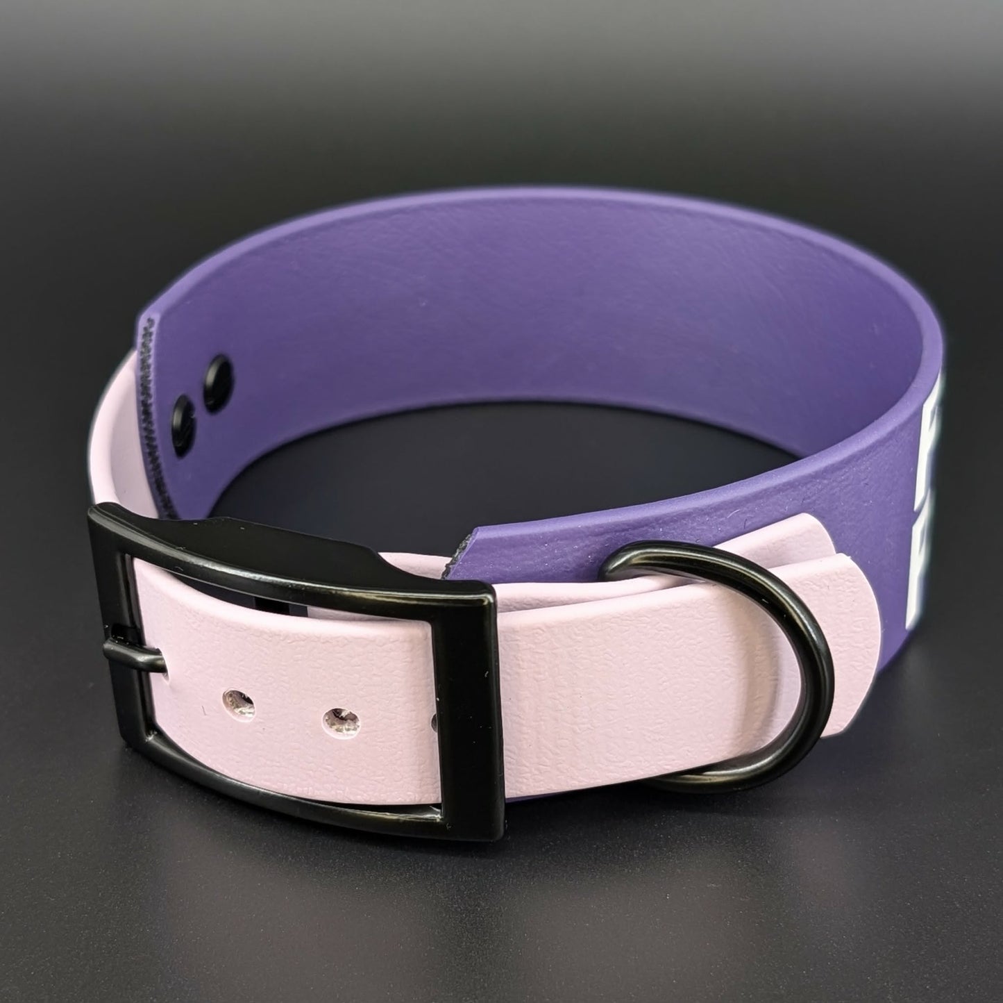 dark purple and lavender tapered biothane dog collar with black hardware