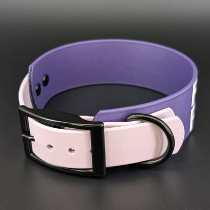 dark purple and lavender tapered biothane dog collar with black hardware