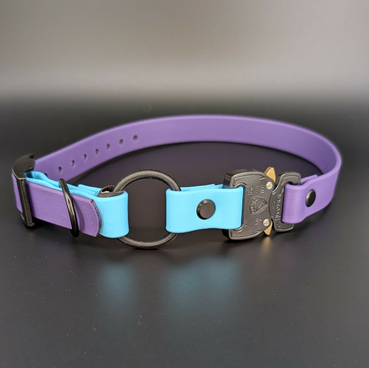 dark purple and light blue biothane e-collar strap with bungee and quick release cobra buckle