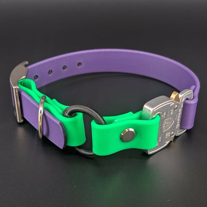 dark purple and light green biothane e-collar strap with bungee and quick release cobra buckle