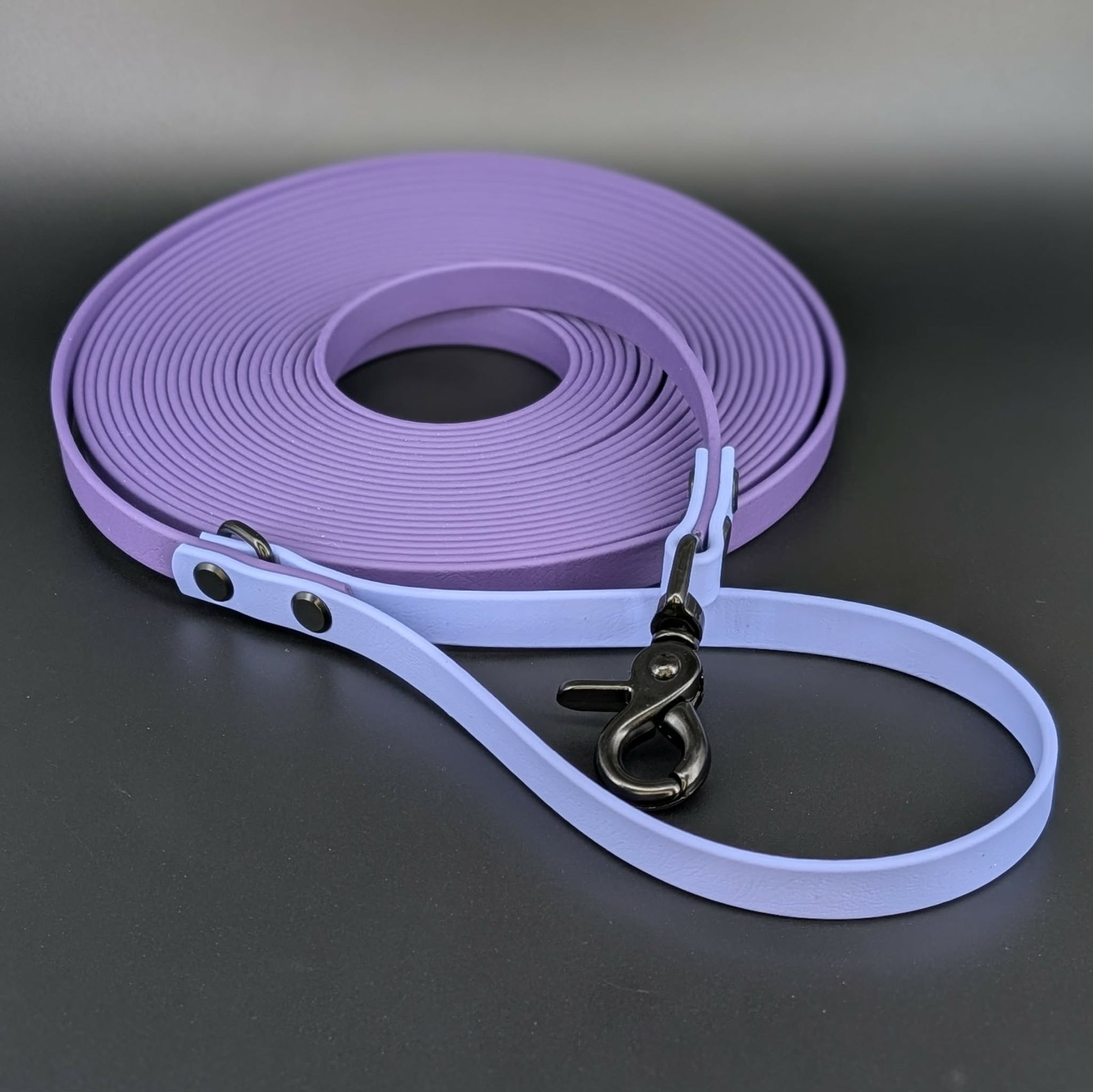 dark purple and periwinkle biothane 30 foot long line with black hardware