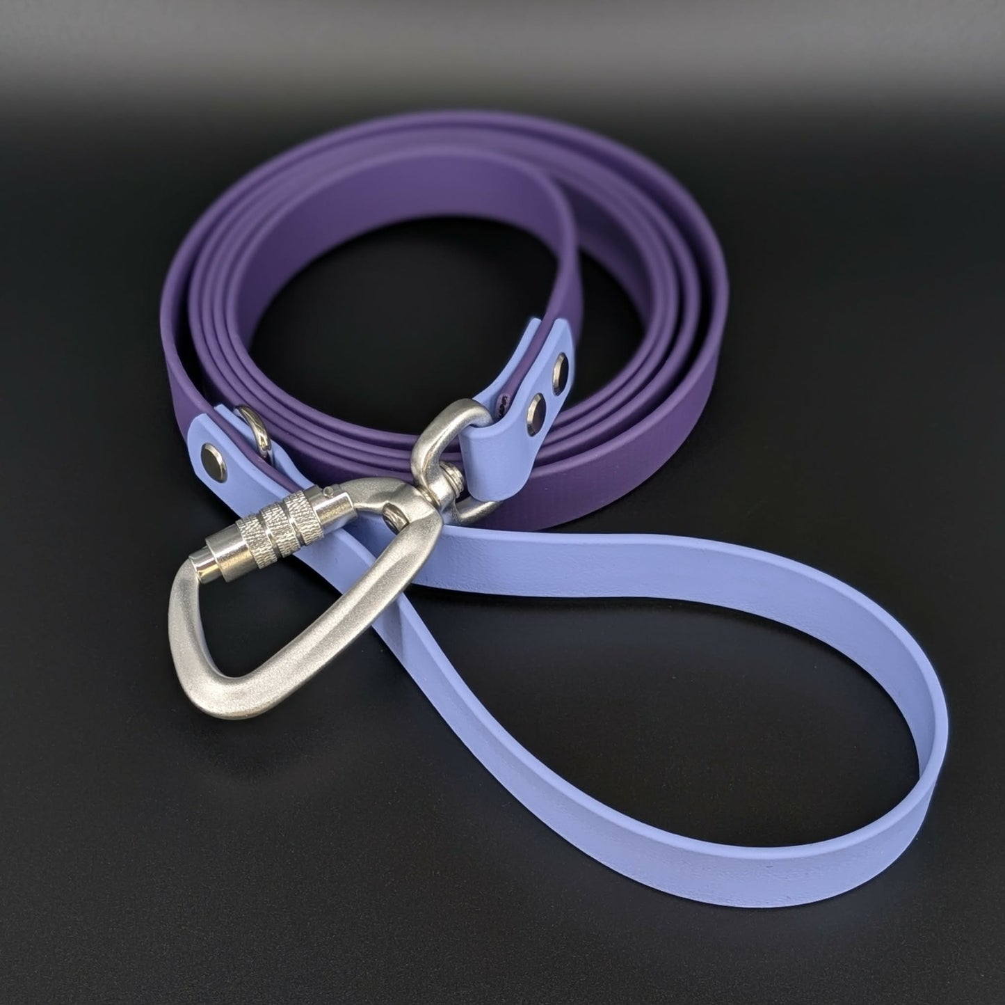 dark purple and periwinkle blue biothane dog leash with auto locking carabiner clip