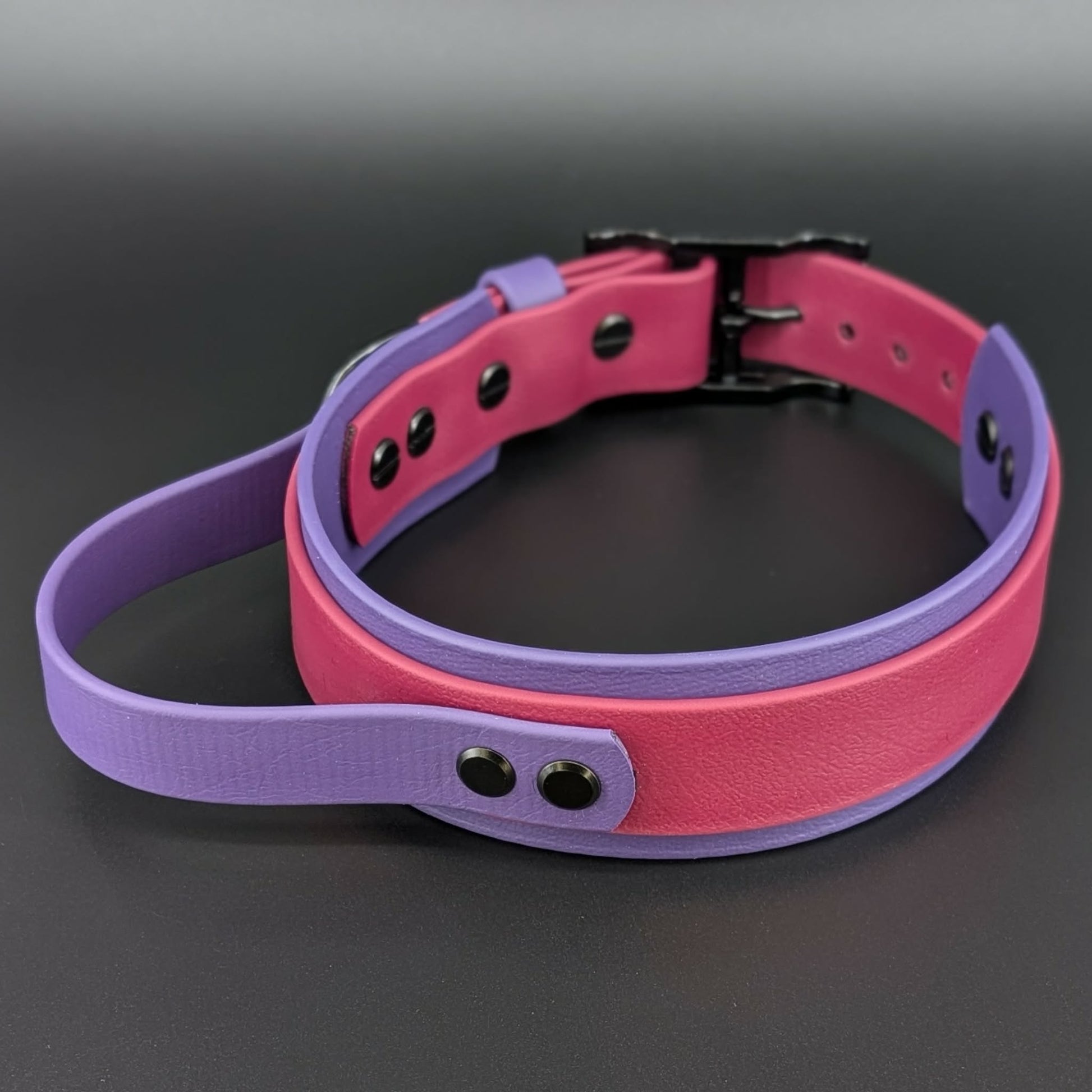 dark purple and wine layered biothane handle dog collar