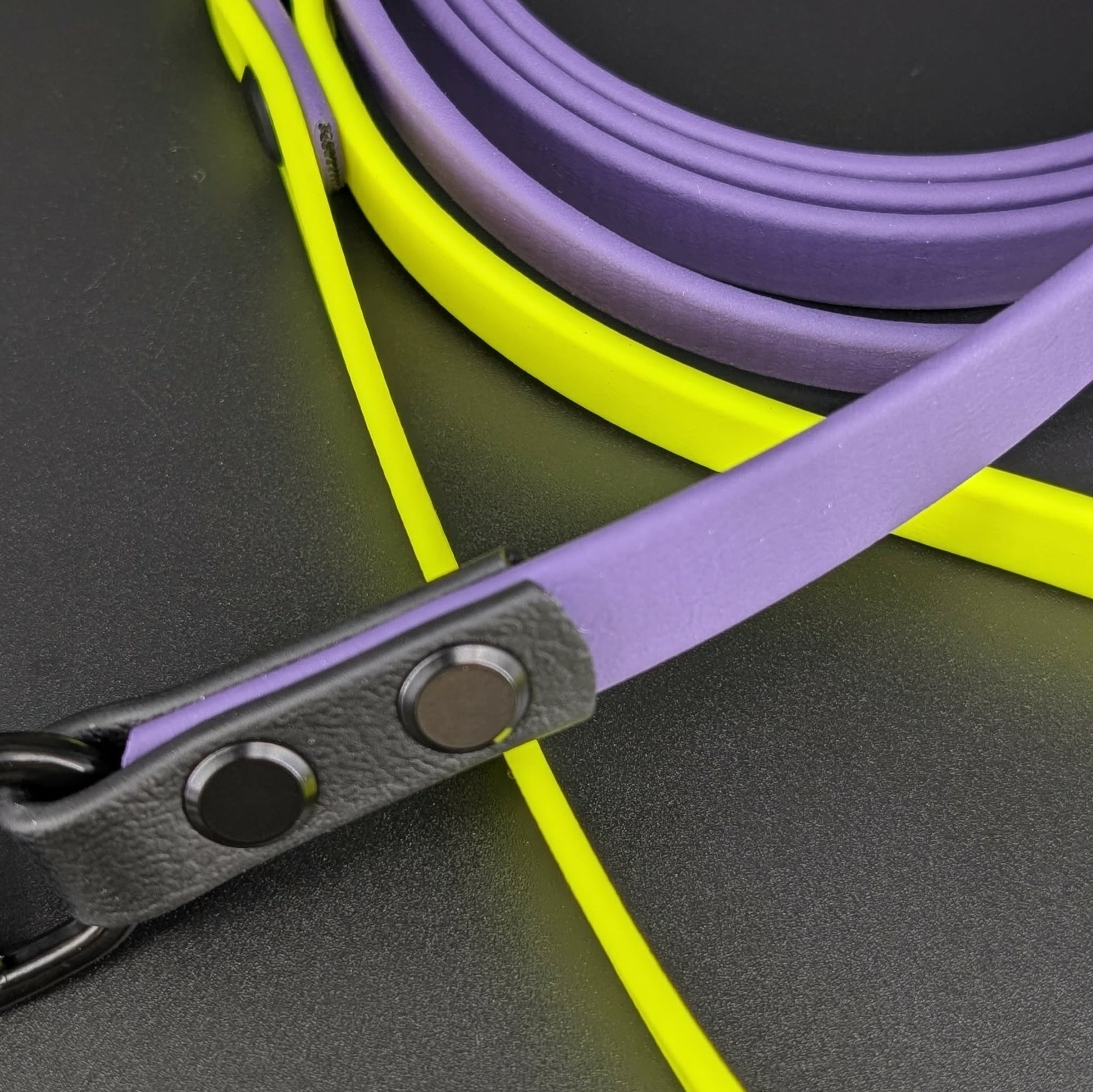 dark purple yellow and black biothane dog leash