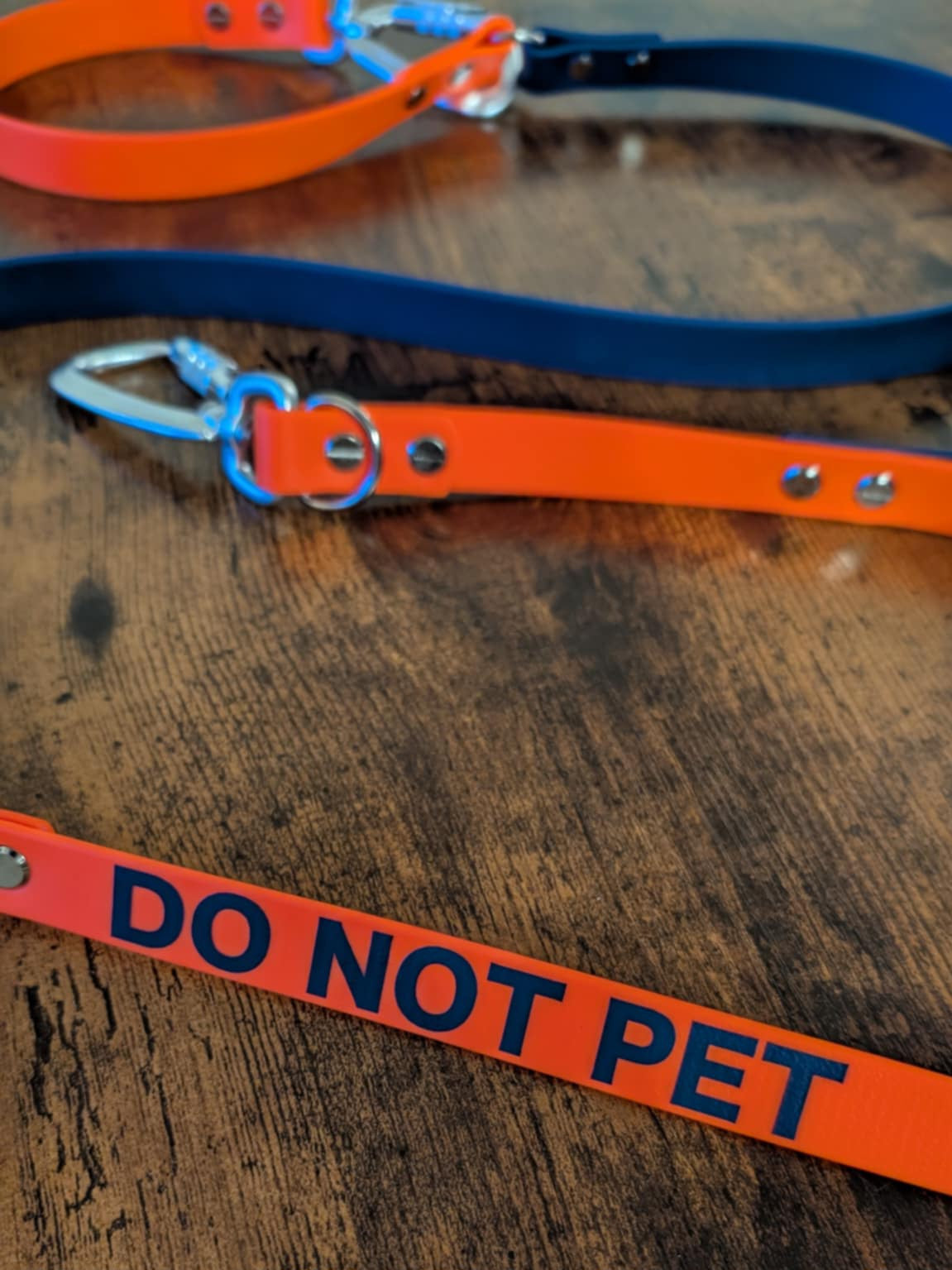 DO NOT PET text on an orange and dark blue biothane hands free dog leash