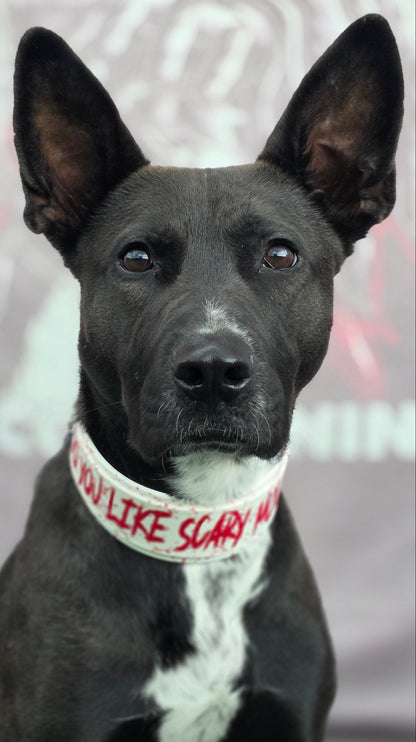 do you like scary movies biothane dog collar