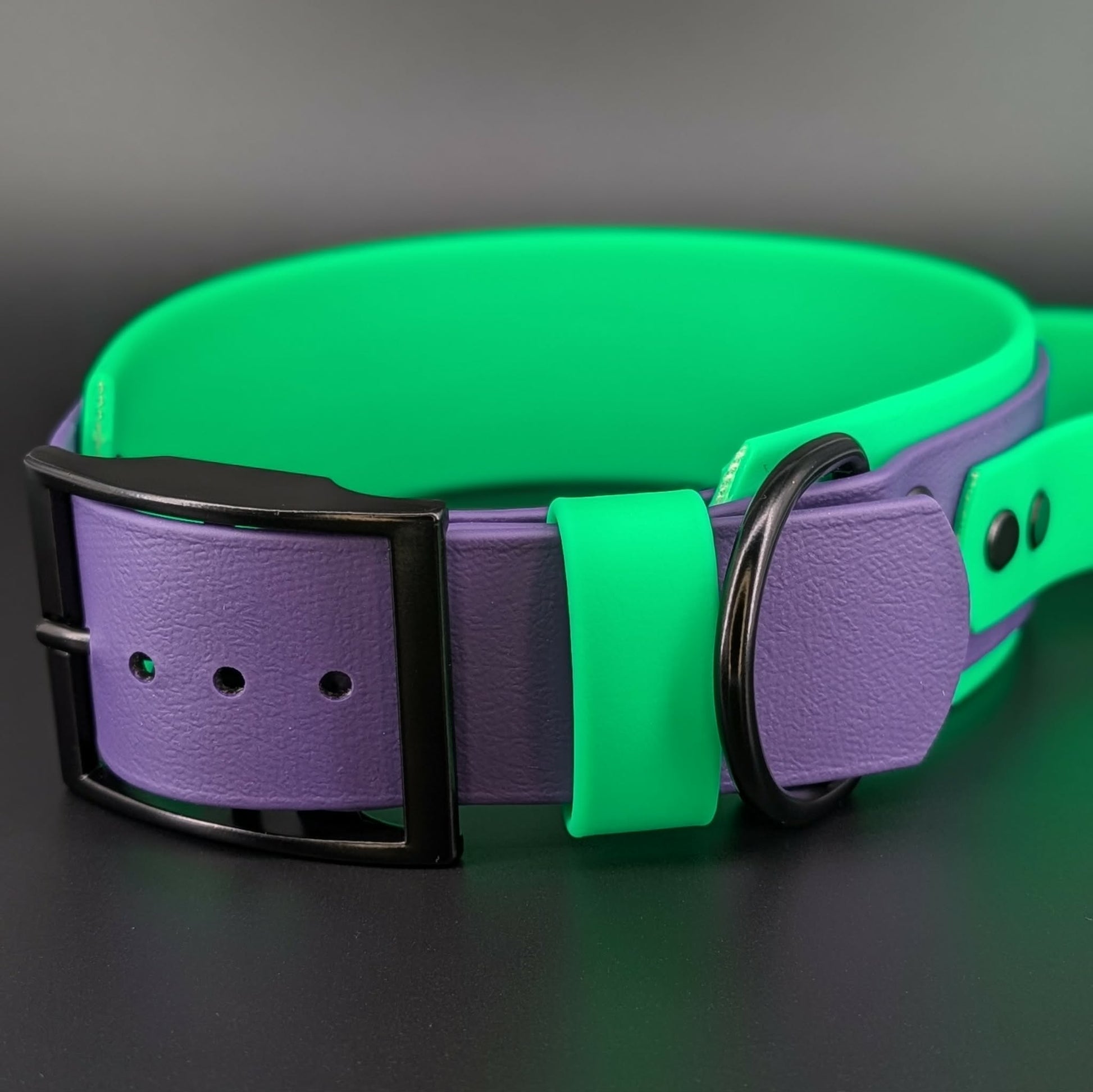 green and purple double layer biothane dog collar