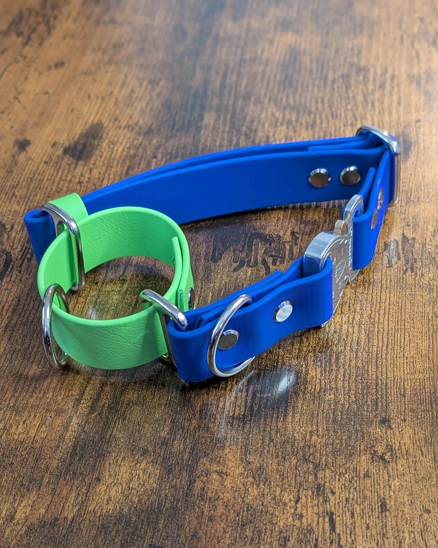 green and royal blue biothane martingale dog collar