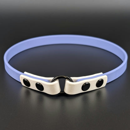 half inch wide periwinkle and white biothane tag collar