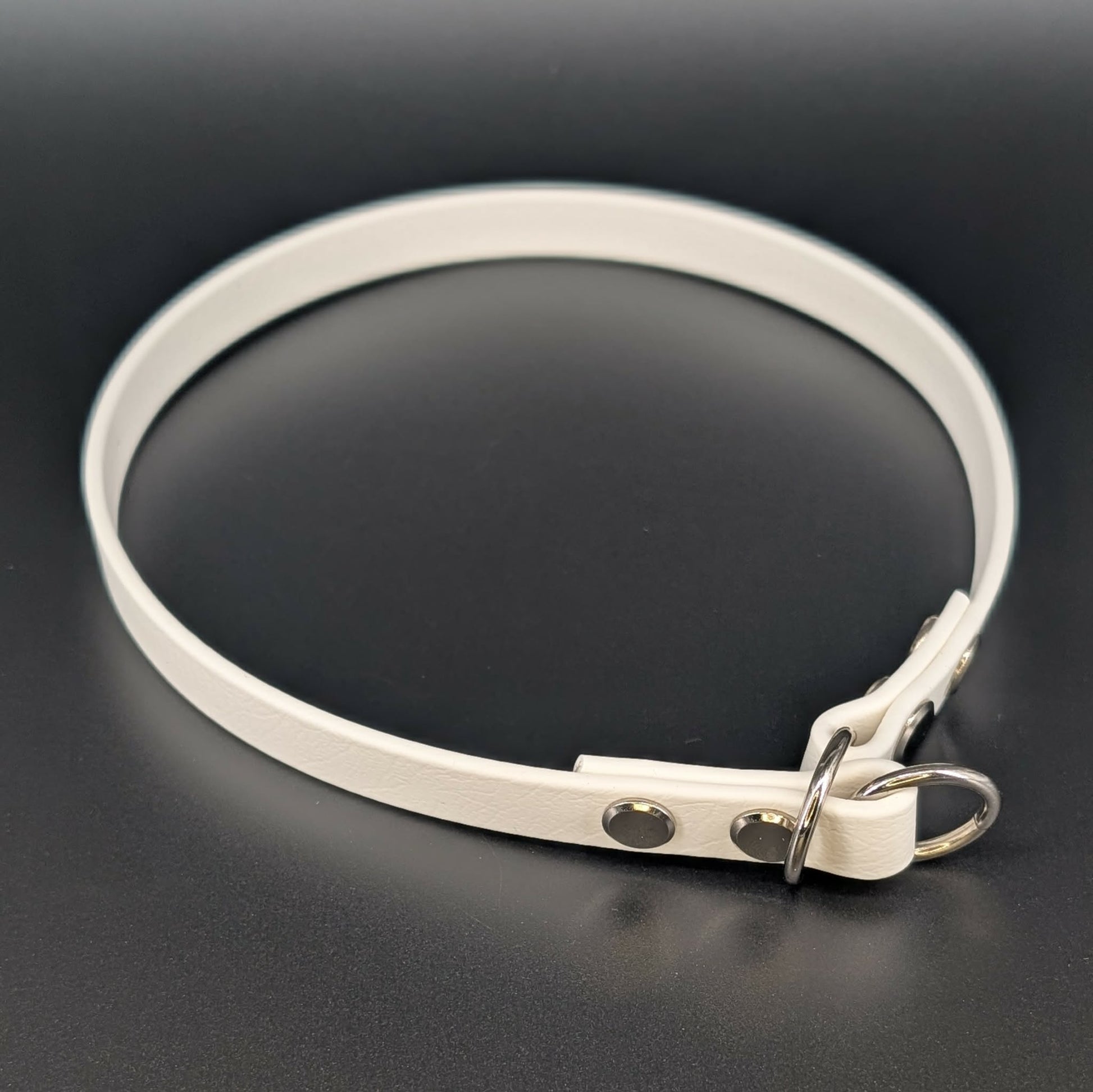 half inch wide white biothane slip collar with silver hardware