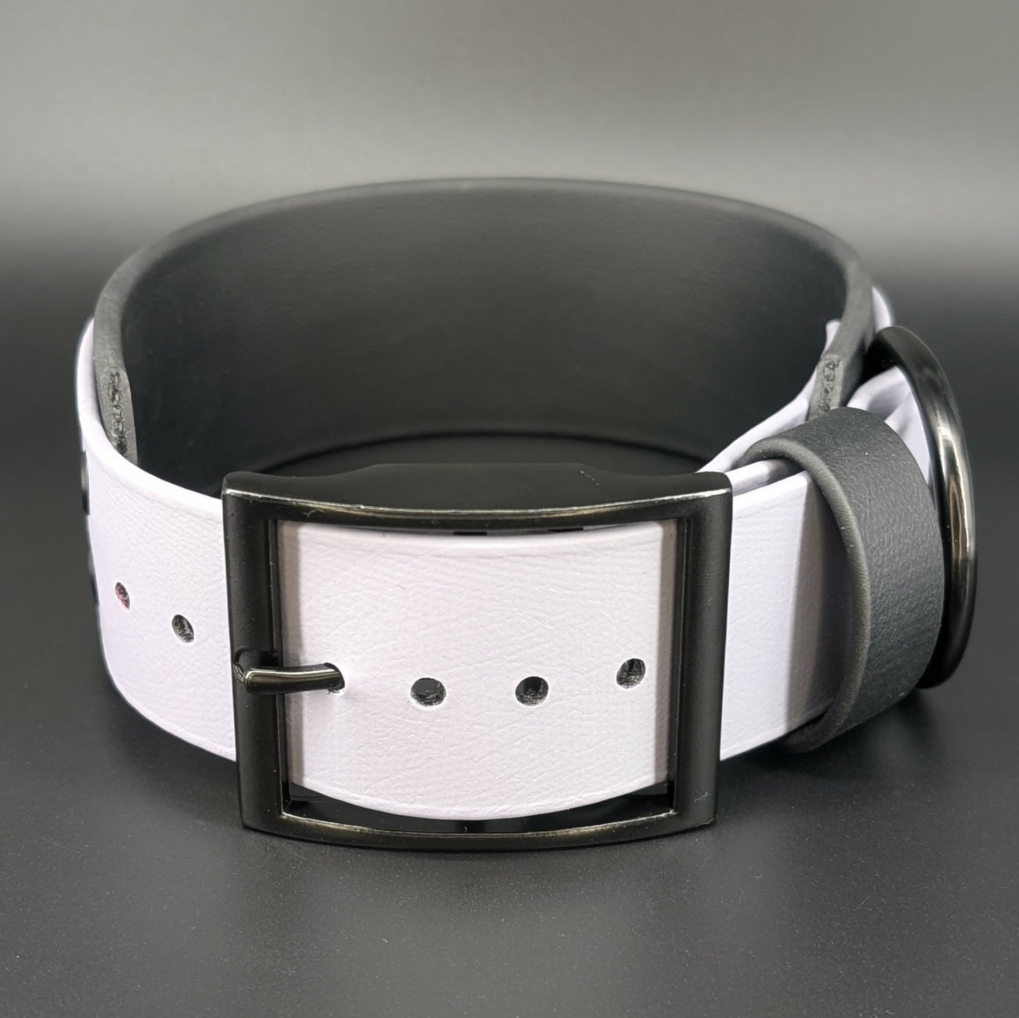 halloween bats collar