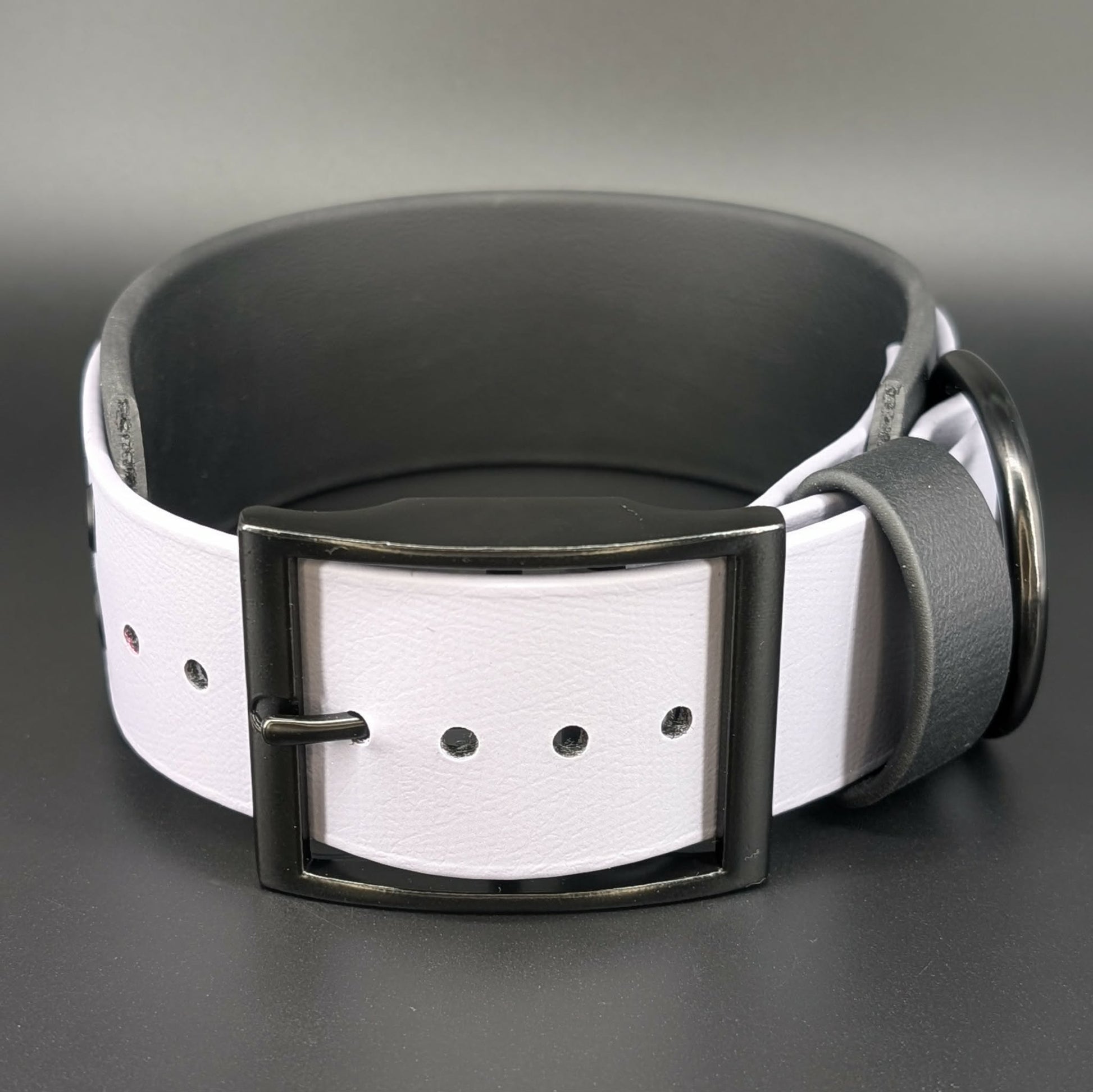 halloween bats collar