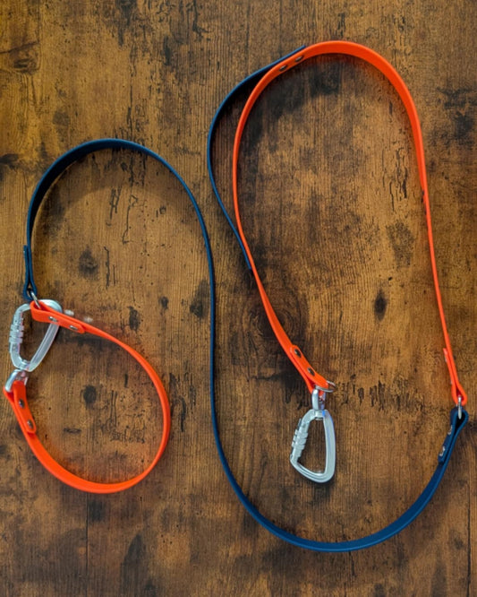 orange and dark blue biothane hands free leash with built-in traffic handle