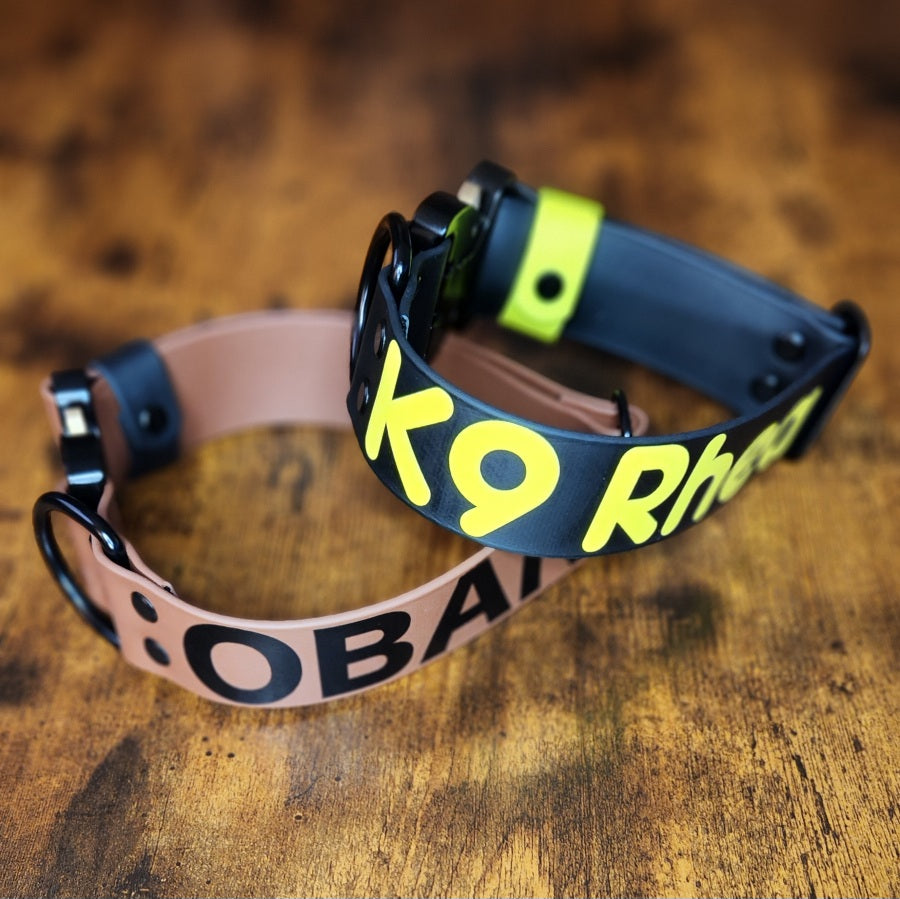 heavy duty dog collar with custom text and quick release cobra buckle