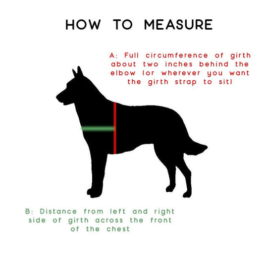 guide on how to measure for straight front service dog harness