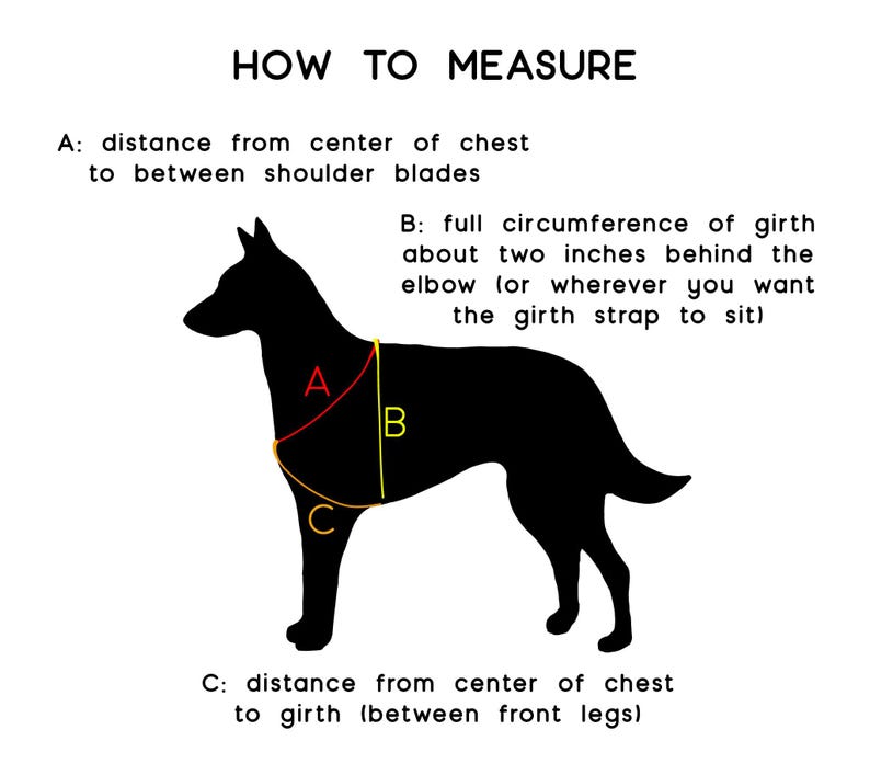 guide on how to measure for y front service dog harness
