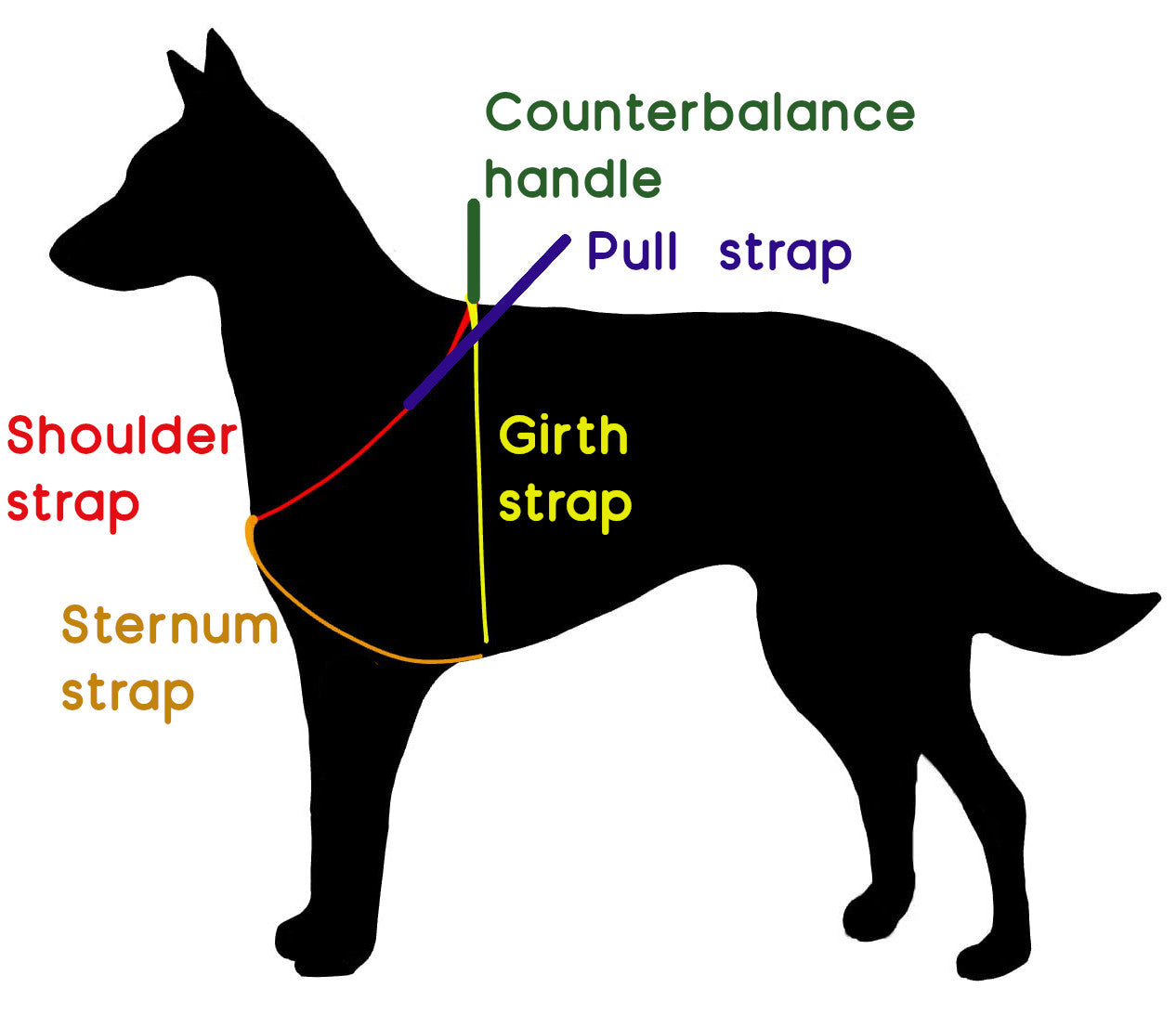 how to measure y front service dog harness