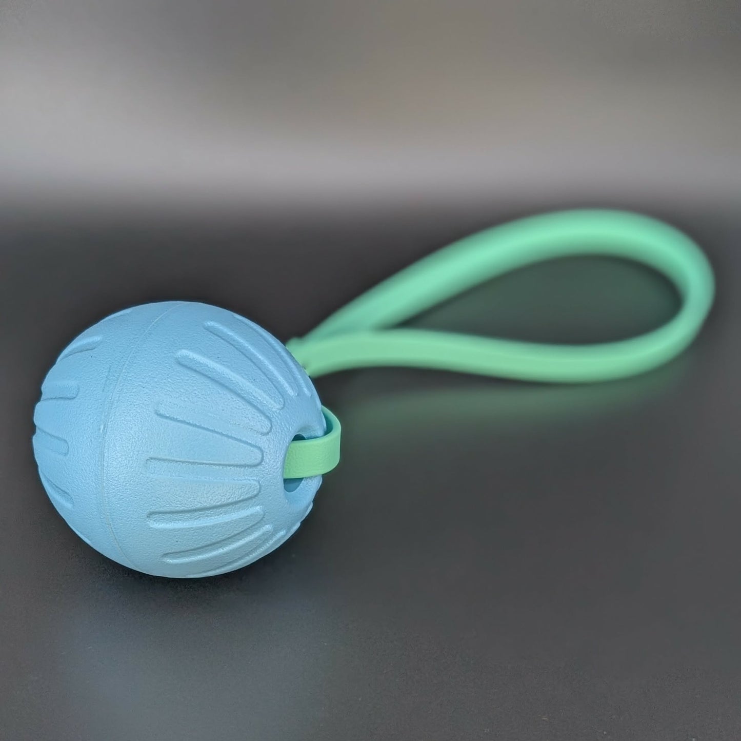 large light blue eva foam ball tug with a mint green biothane loop handle