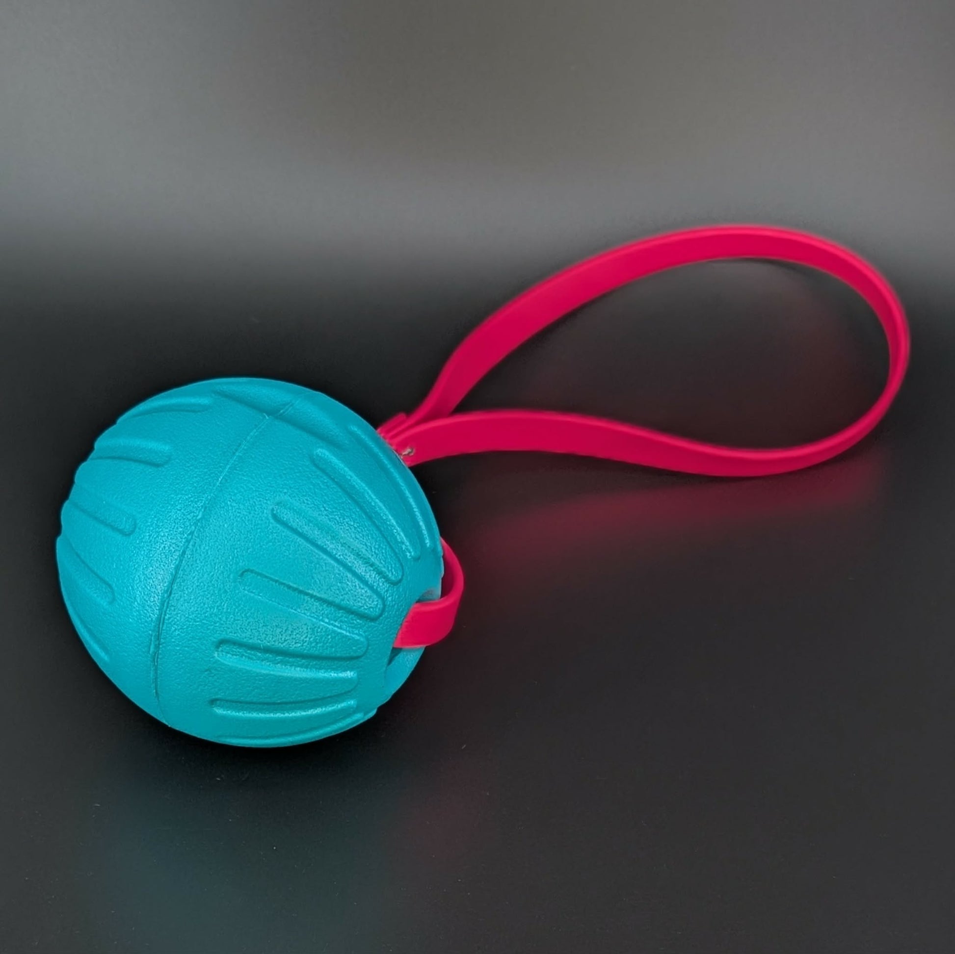 large light blue eva foam ball tug with a pink biothane loop handle