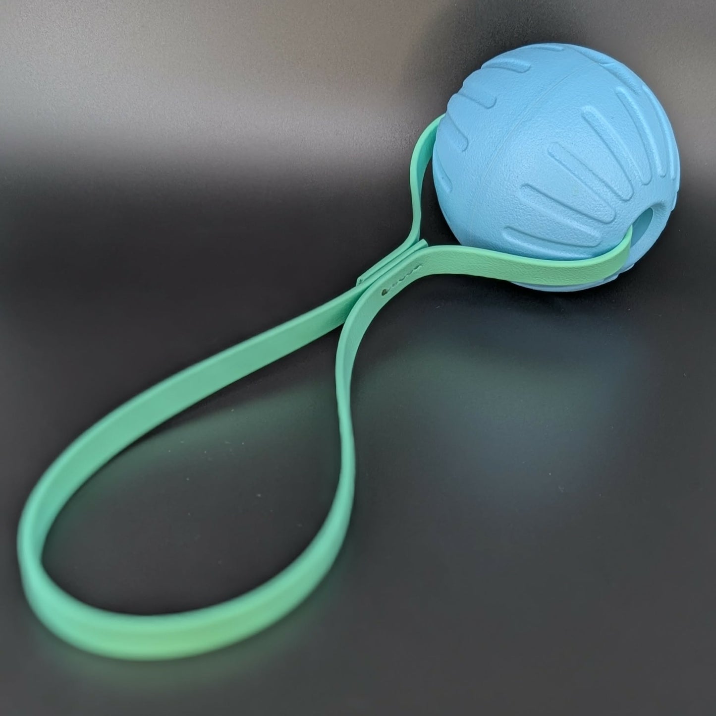 large light blue eva foam ball tug with mint green biothane loop handle