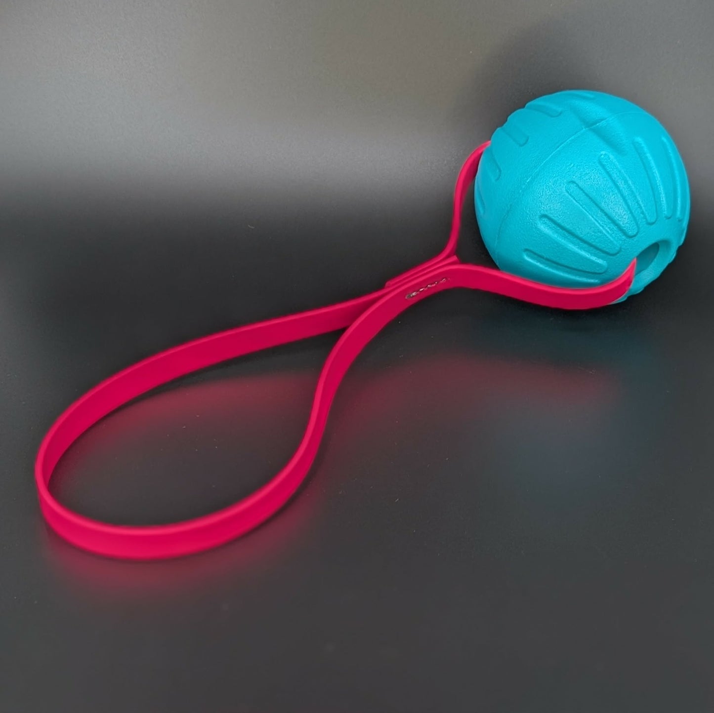 large light blue eva foam ball tug with pink biothane loop handle