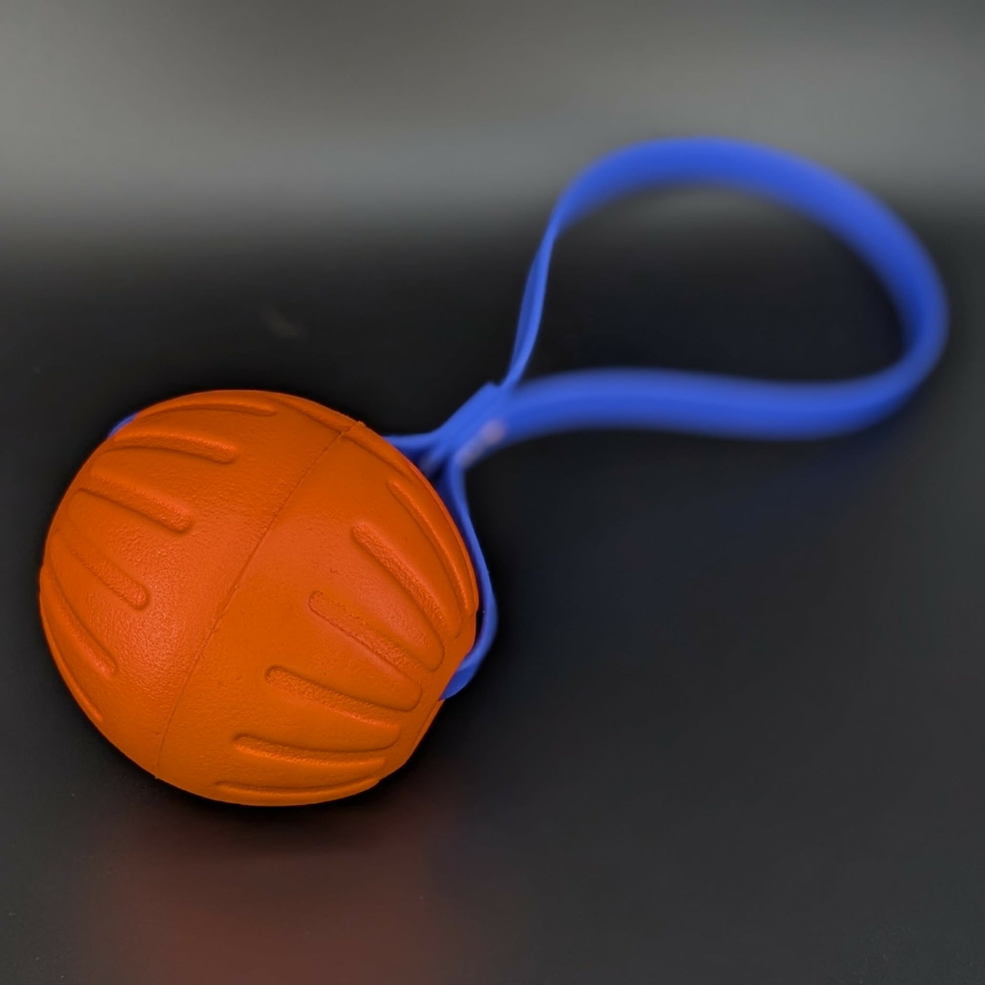 large orange eva foam ball tug with a royal blue biothane loop handle
