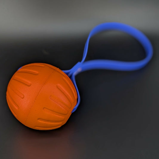 large orange eva foam ball tug with a royal blue biothane loop handle