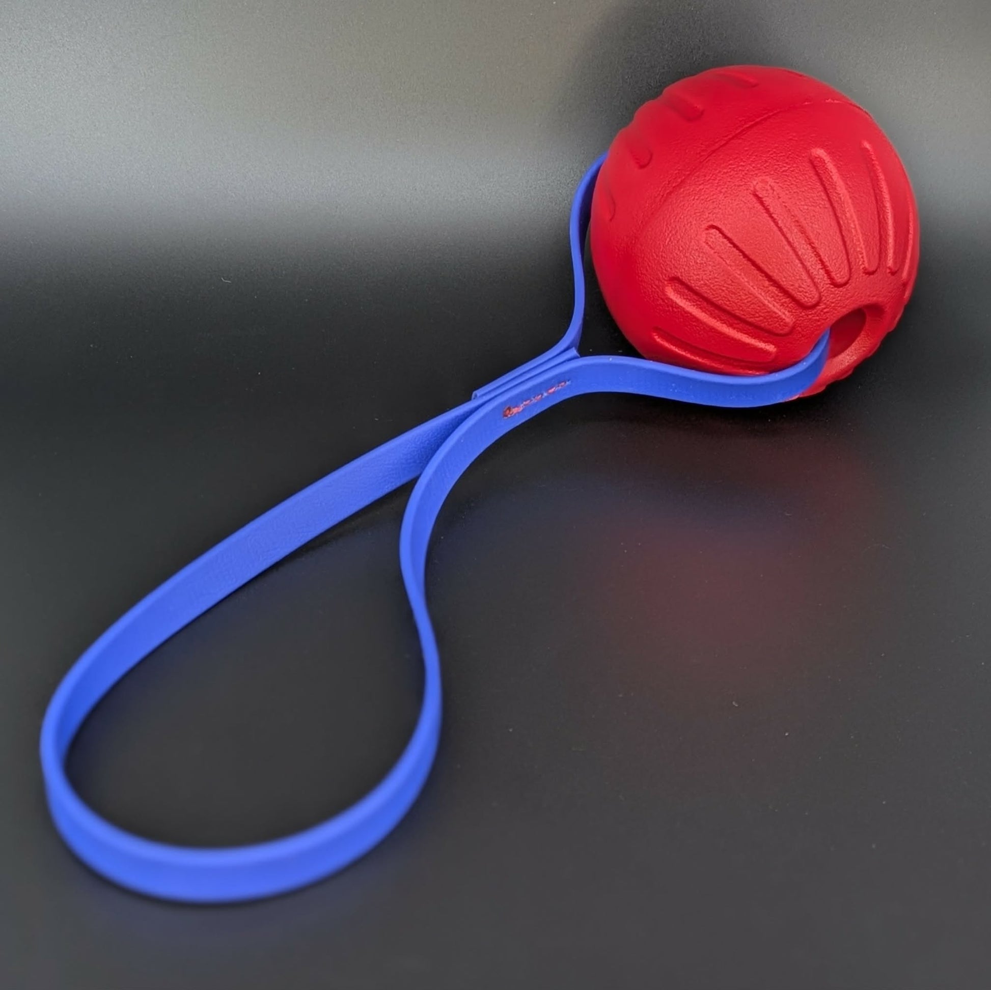 large red eva foam ball tug with royal blue biothane loop handle