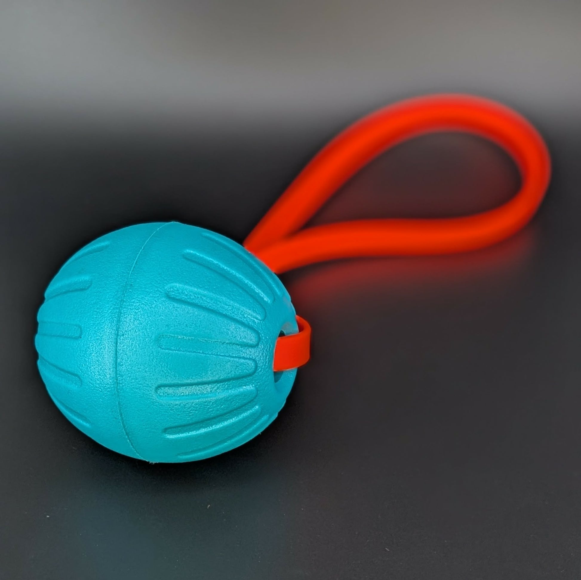 large teal eva foam ball tug with an orange biothane loop handle