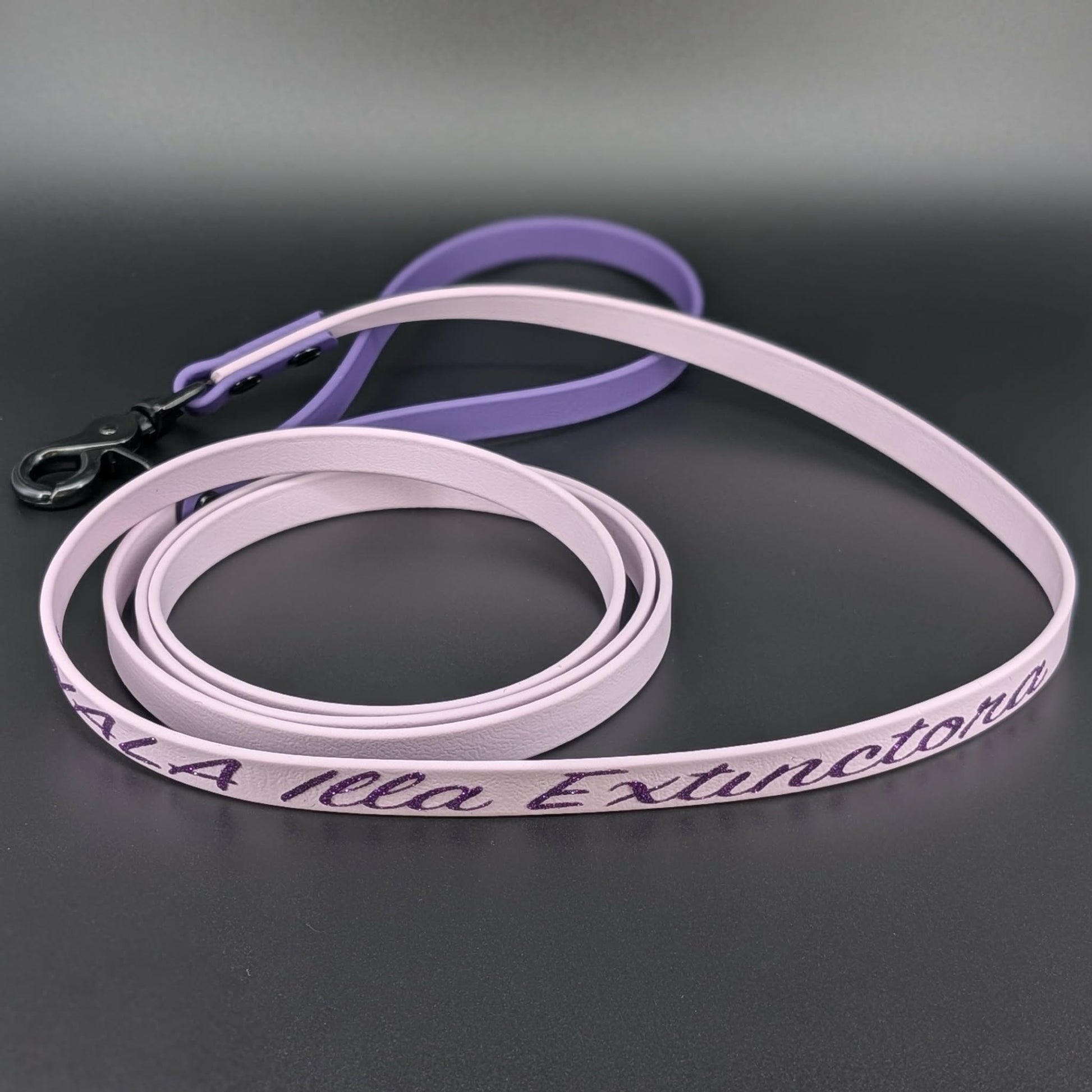 lavender and dark purple biothane dog leash with custom text